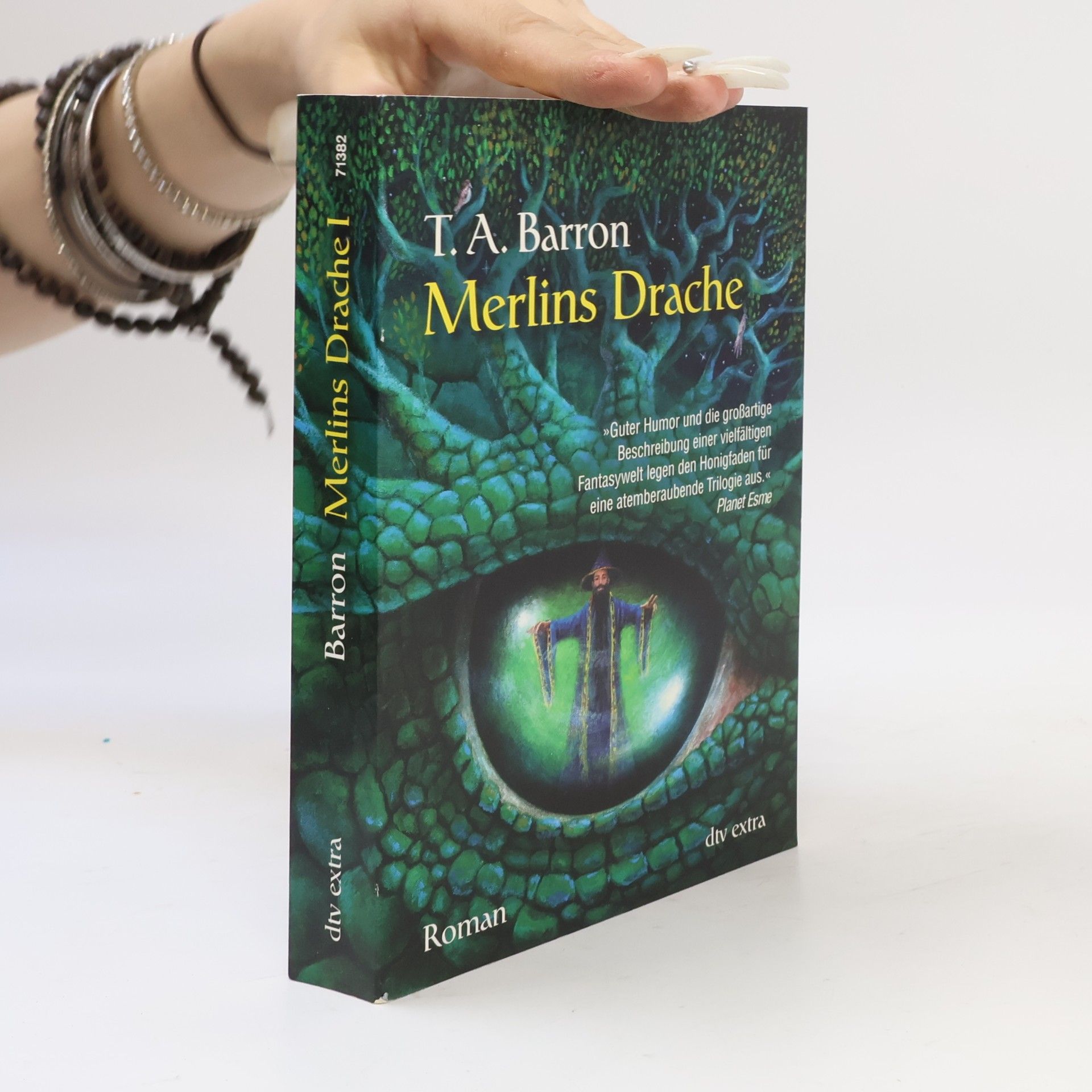 Barron T.A. Merlins Drache 1