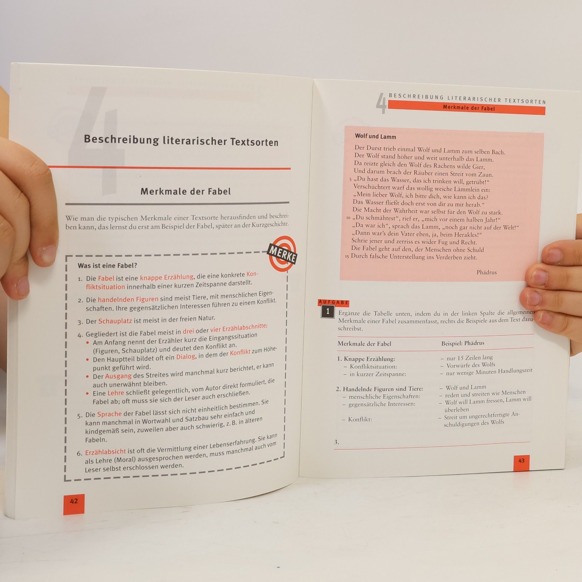 Peter Jentzsch Training Aufsatz - Textbeschreibung, Charakteristik, Gedichtinterpretation