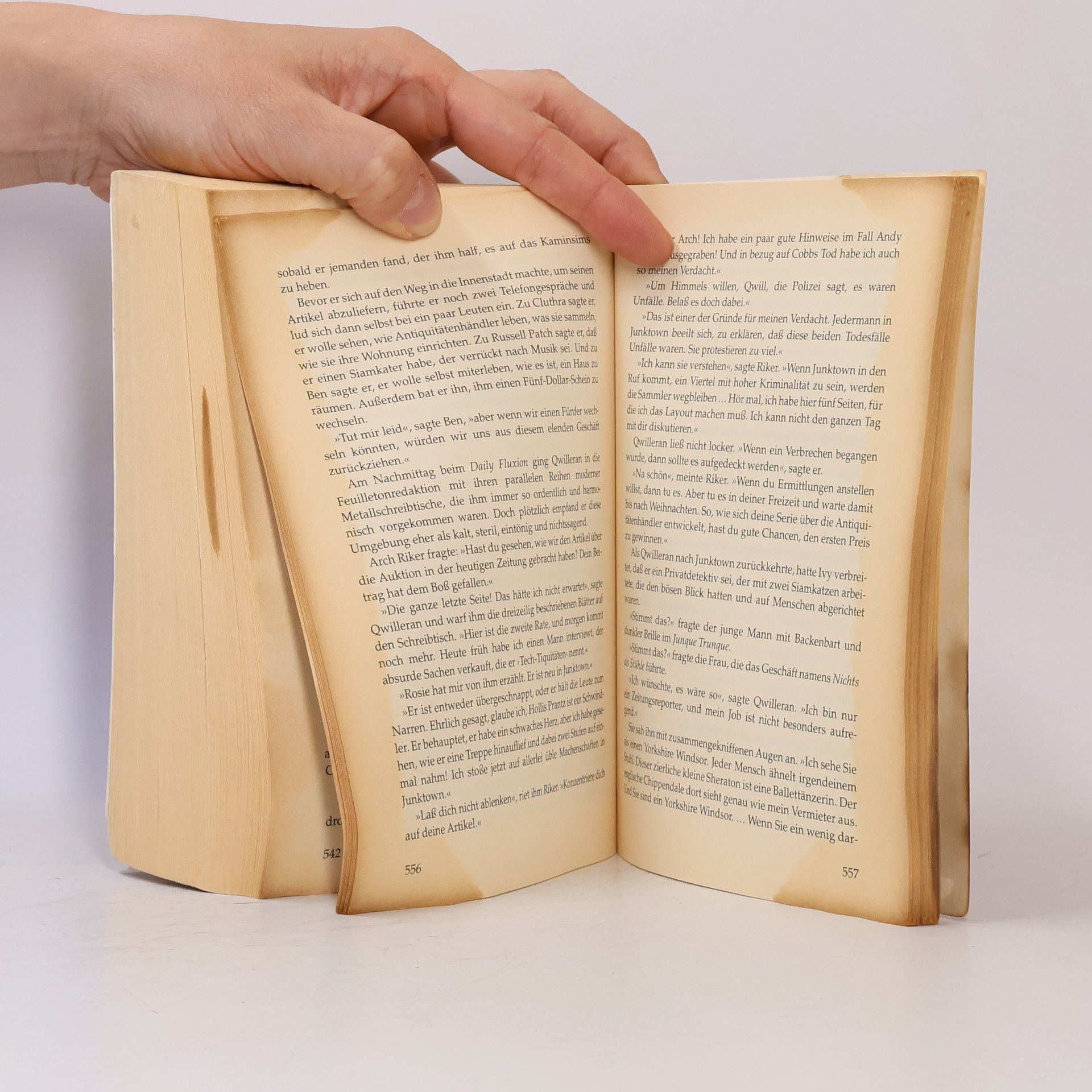 Lilian Jackson Braun Die Katze, die rückwärts lesen konnte
