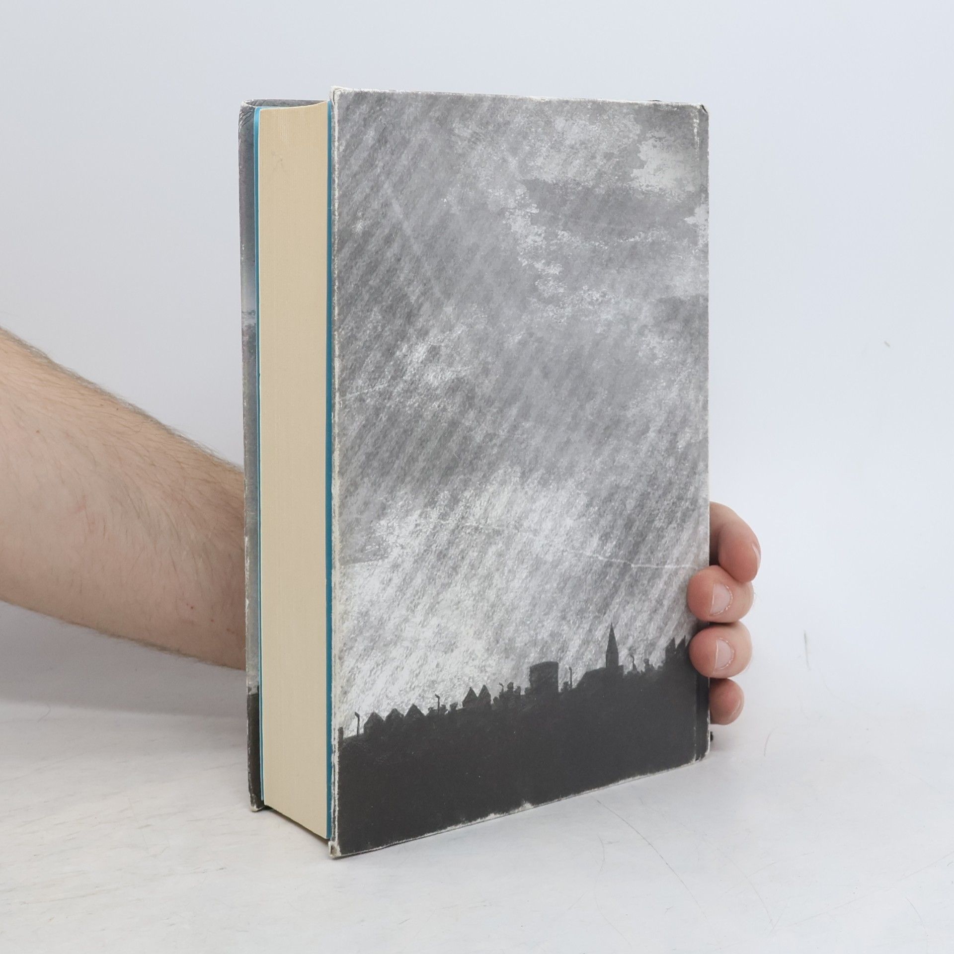 Tana French Ztracený přístav
