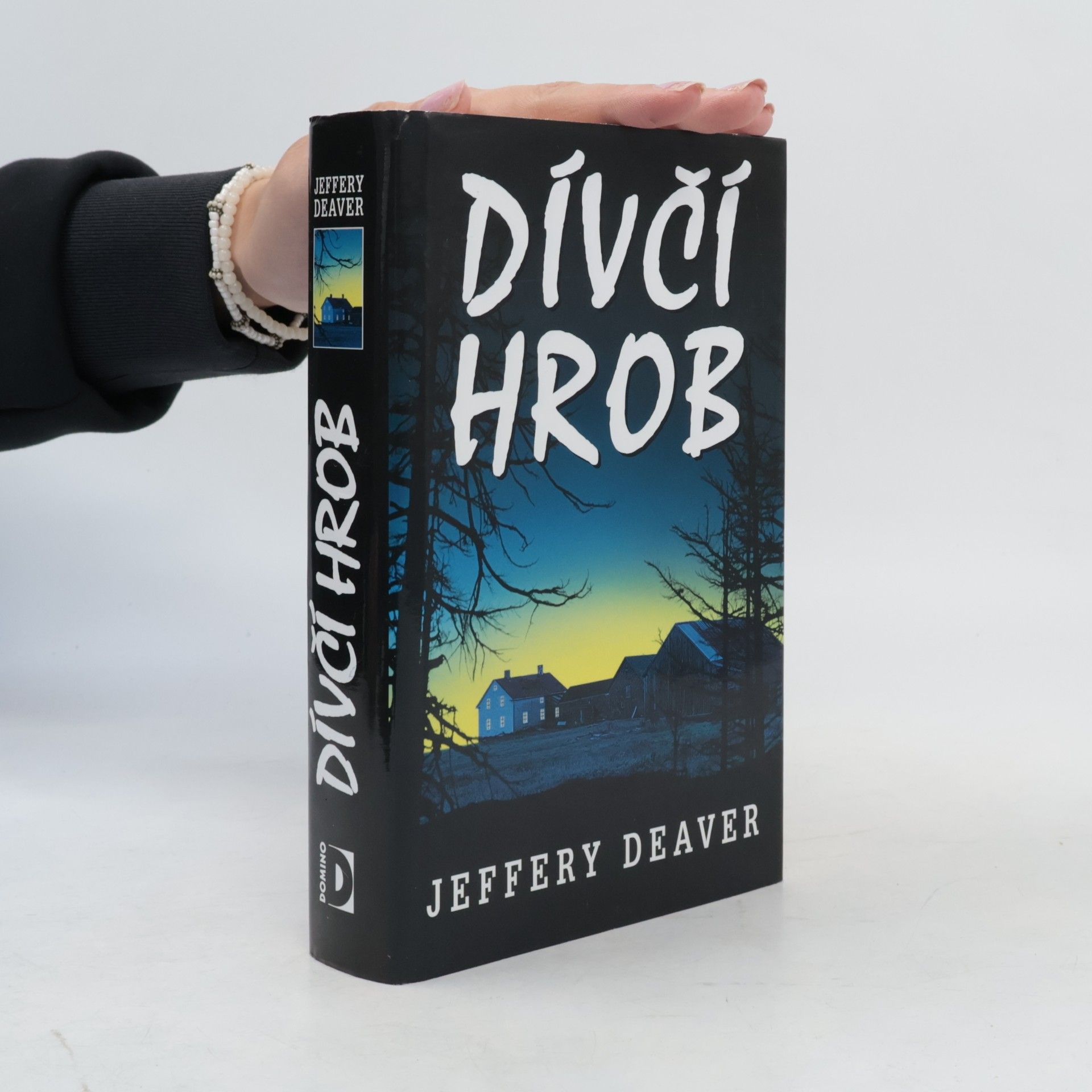 Jeffery Deaver Dívčí hrob