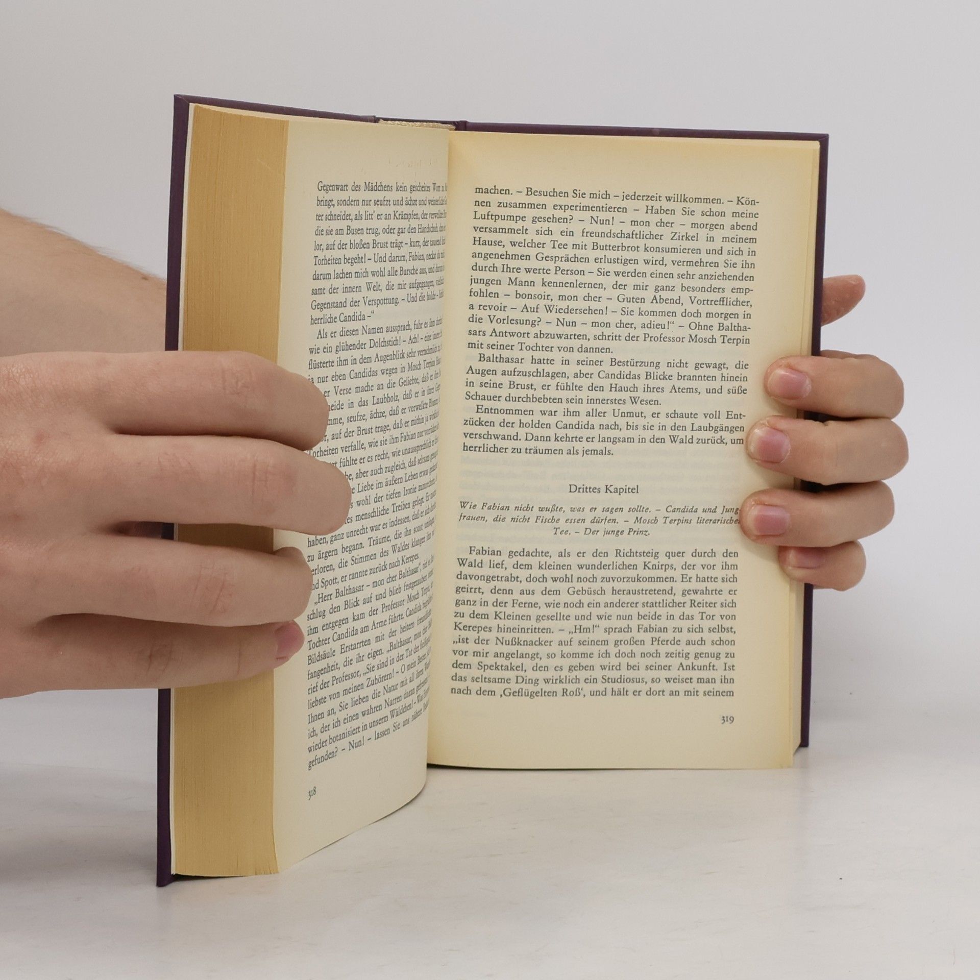 Autorenkollektiv E. T. A. Hoffmann