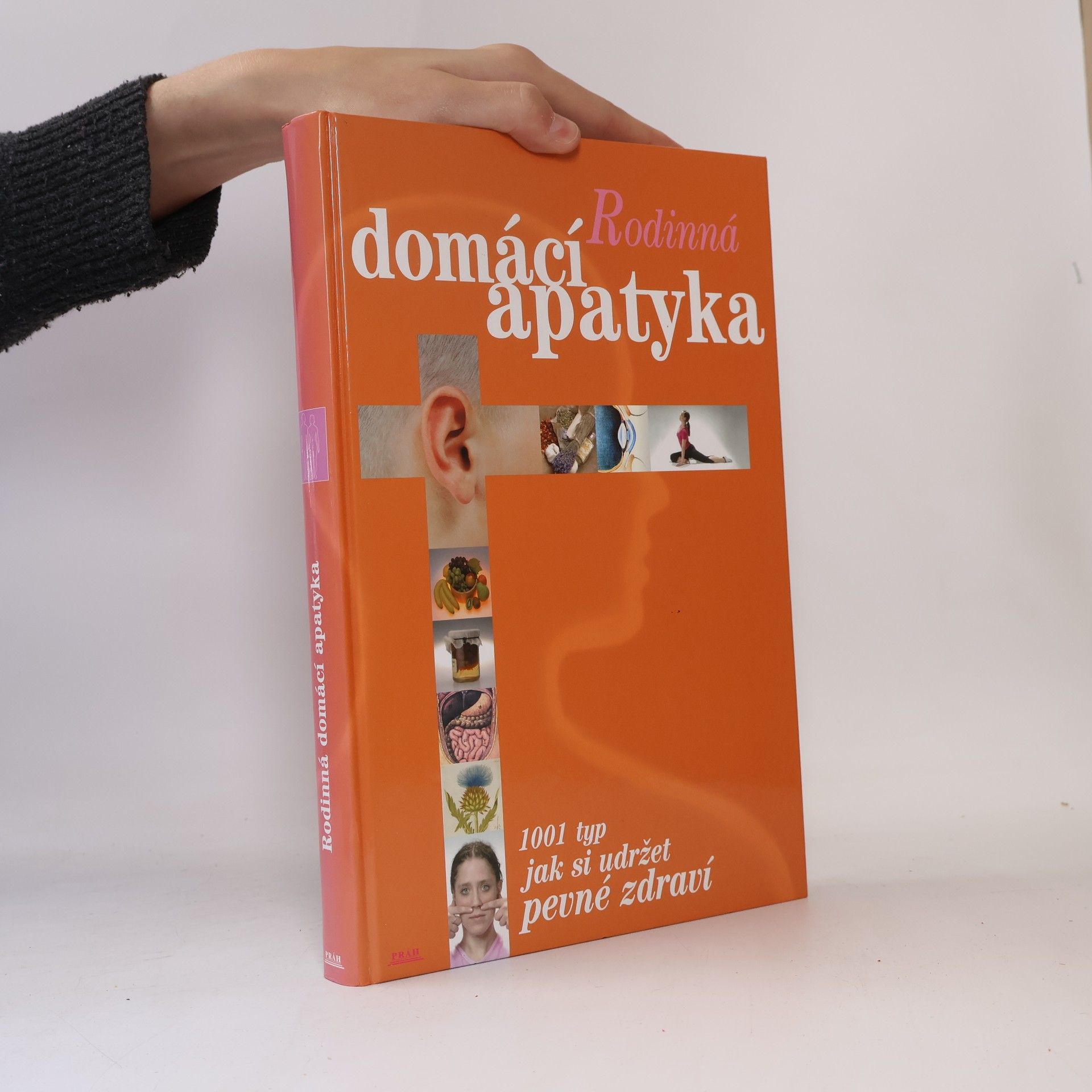Autorenkollektiv Rodinná domácí apatyka : 1001 tip, jak si udržet dobré zdraví