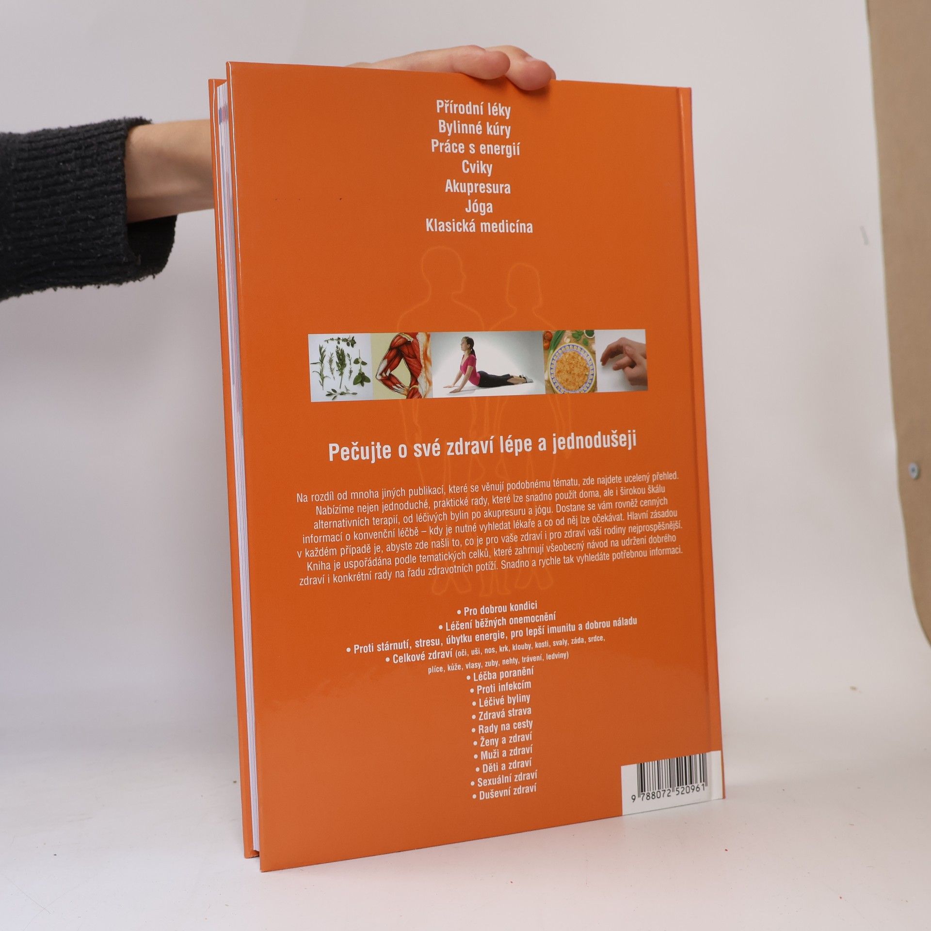 Autorenkollektiv Rodinná domácí apatyka : 1001 tip, jak si udržet dobré zdraví