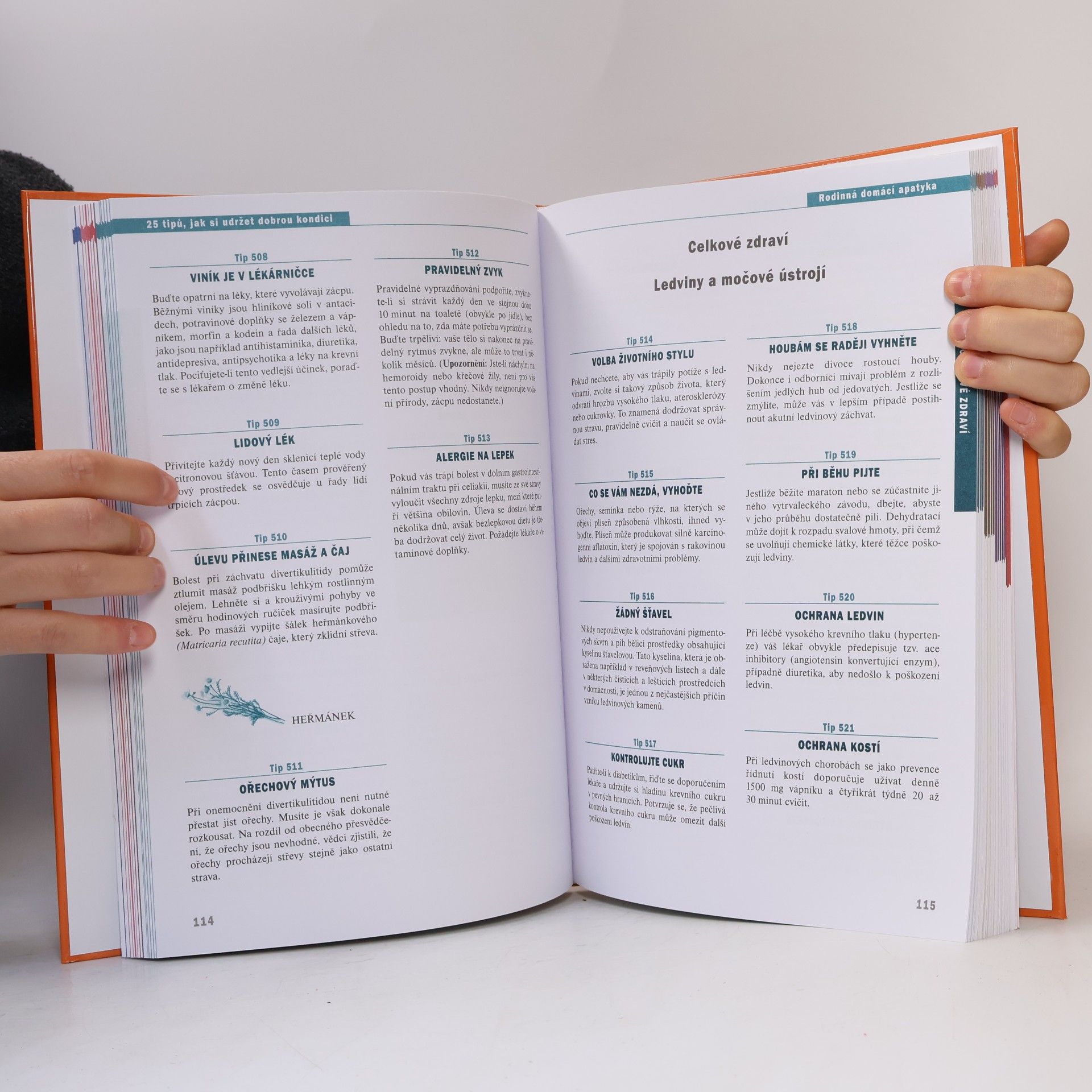 Autorenkollektiv Rodinná domácí apatyka : 1001 tip, jak si udržet dobré zdraví