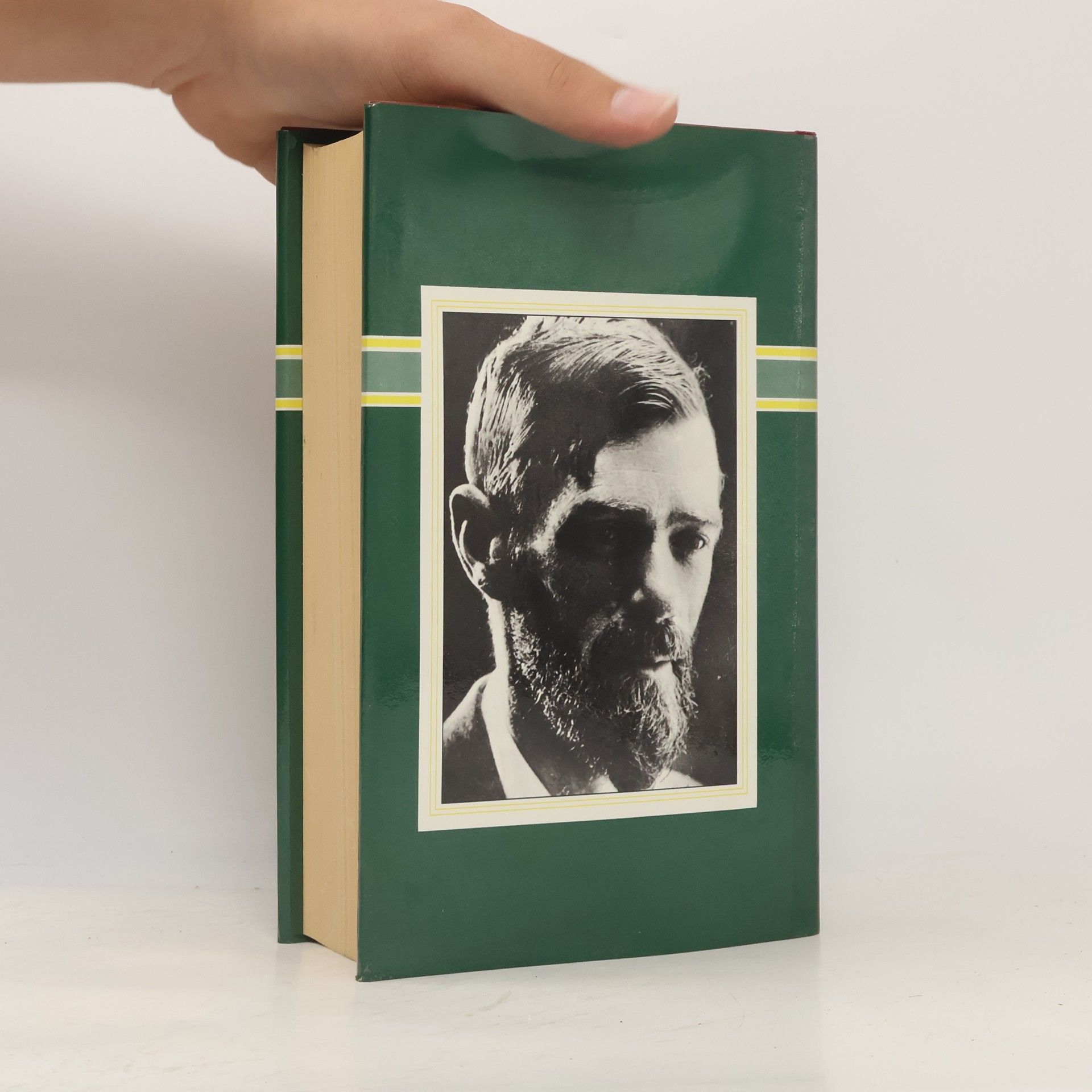 David Herbert Lawrence The Novels of D. H. Lawrence