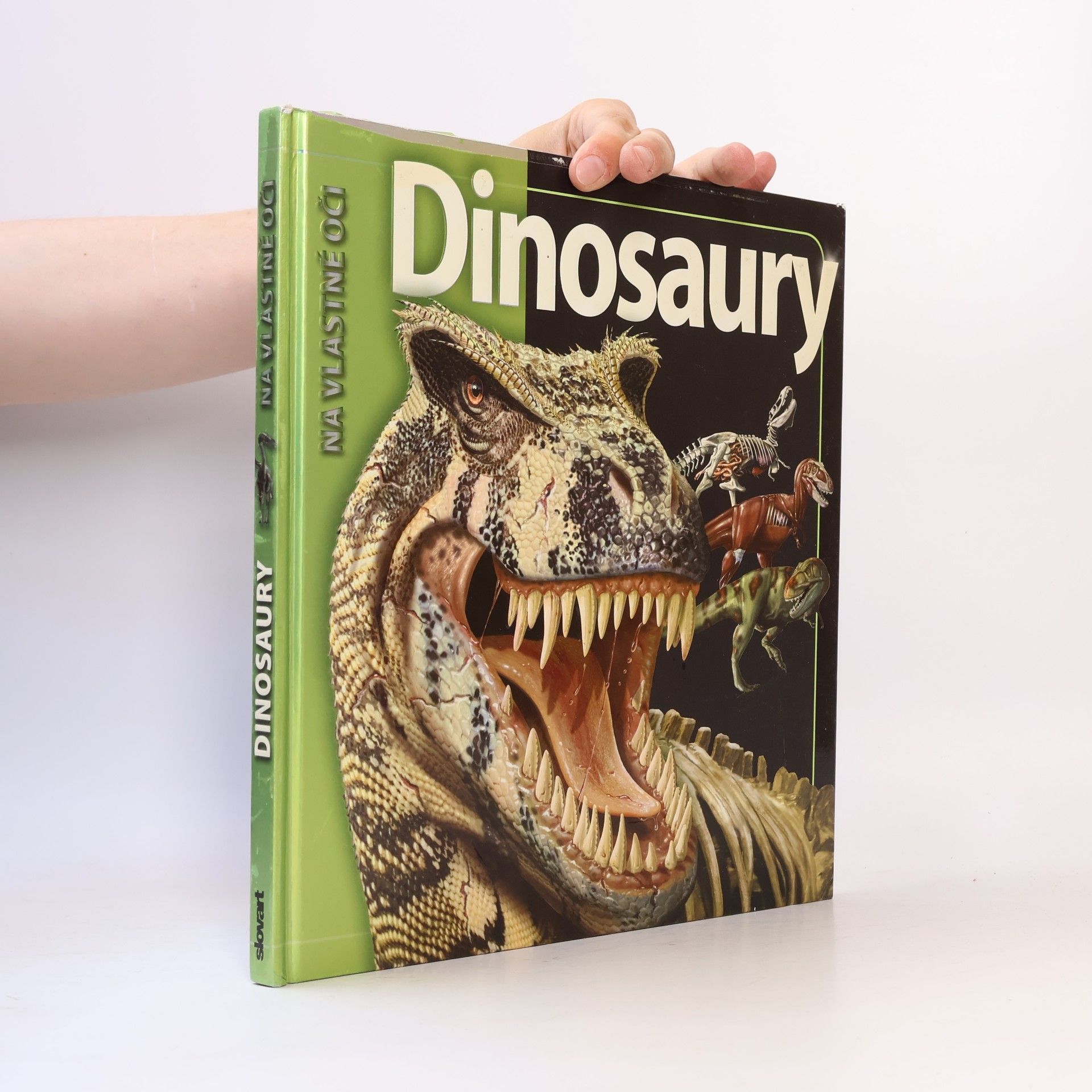 Autorenkollektiv Dinosaury