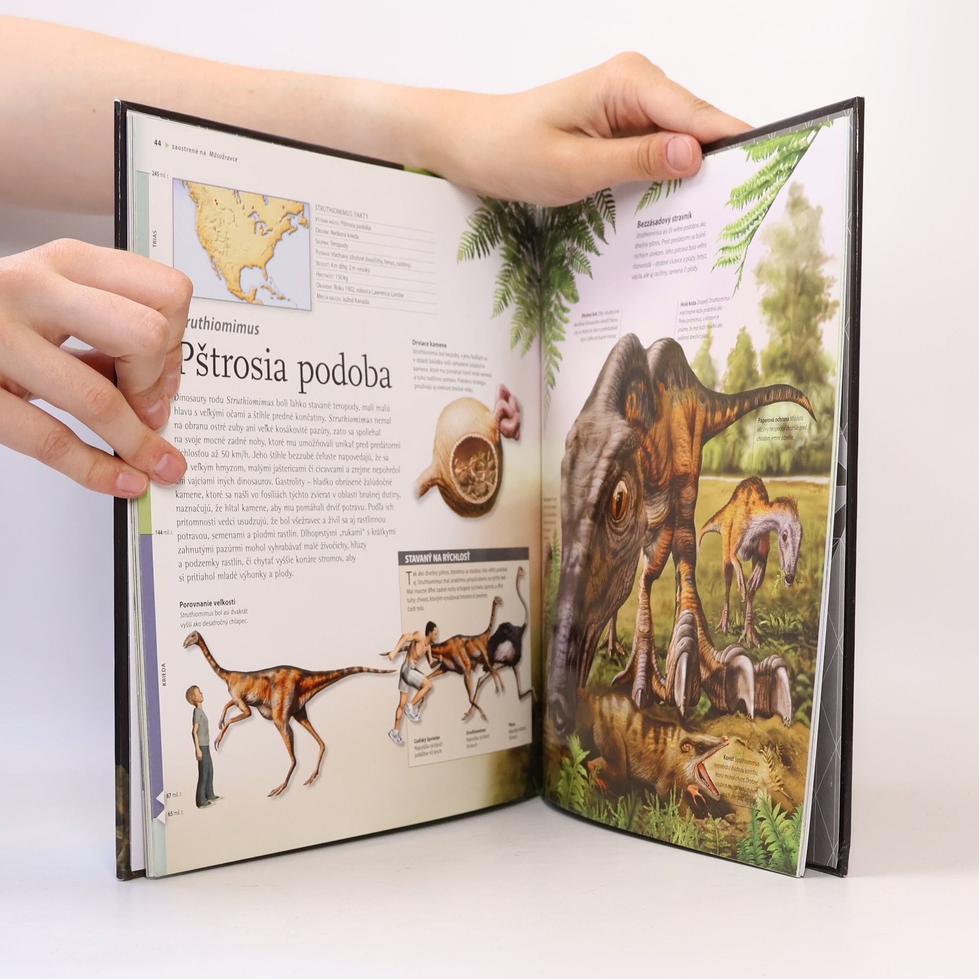 Autorenkollektiv Dinosaury