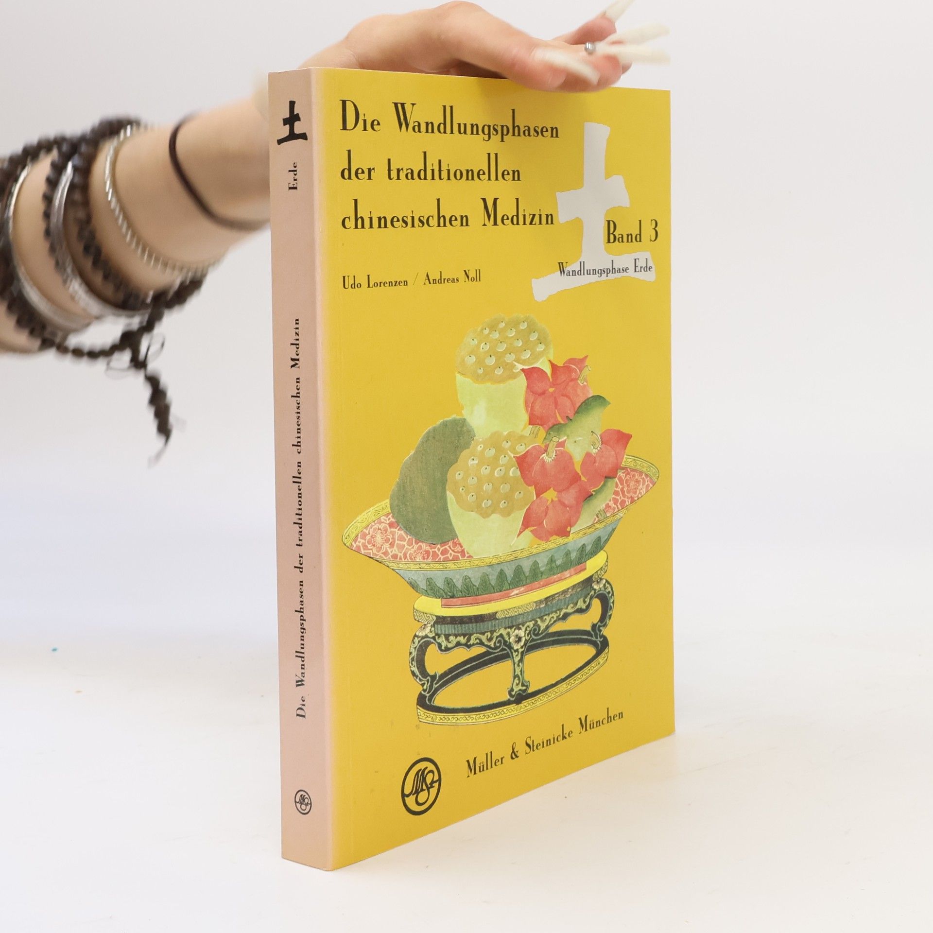 Udo Lorenzen Die Wandlungsphasen der traditionellen chinesischen Medizin 3