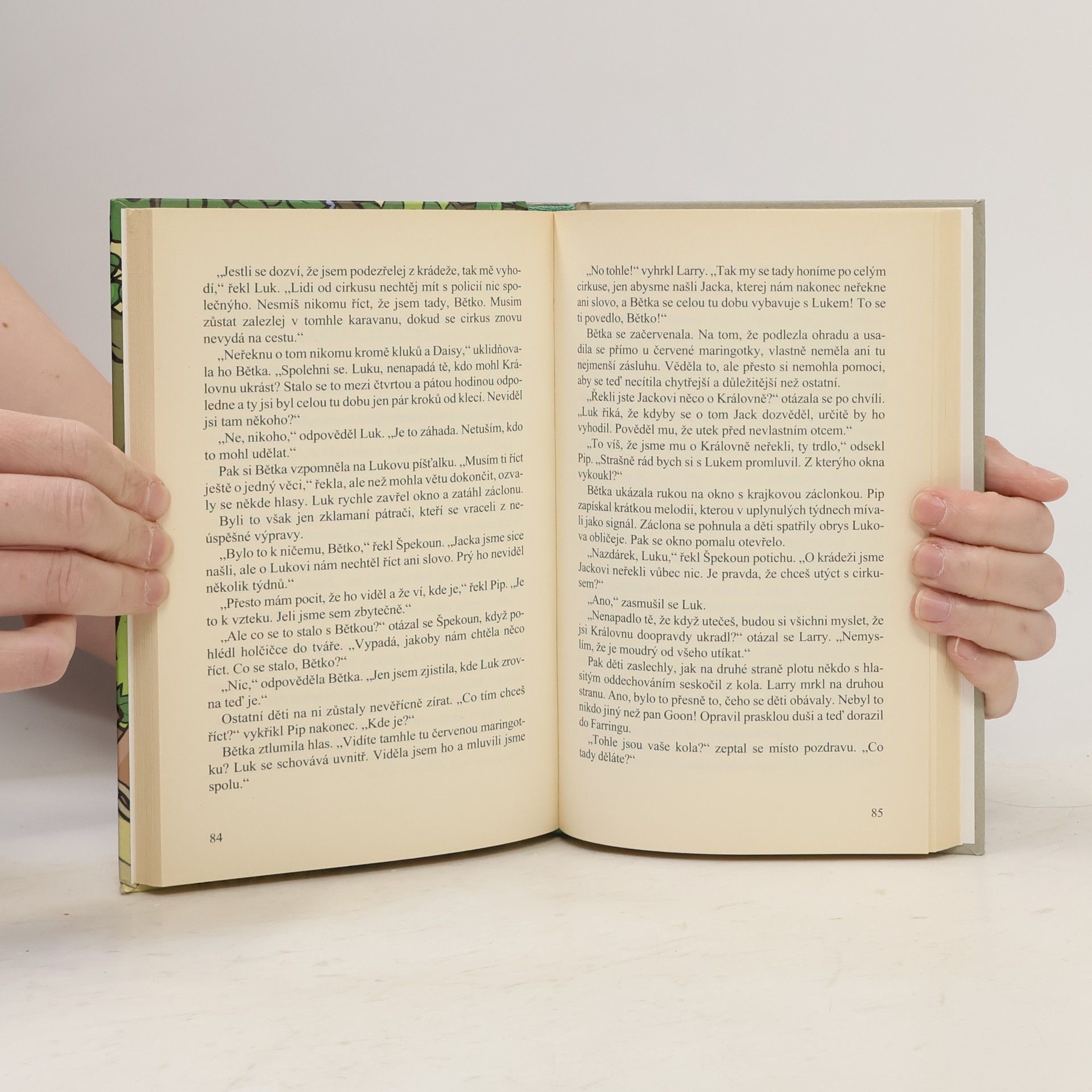Enid Blyton Tajemství ztracené kočky
