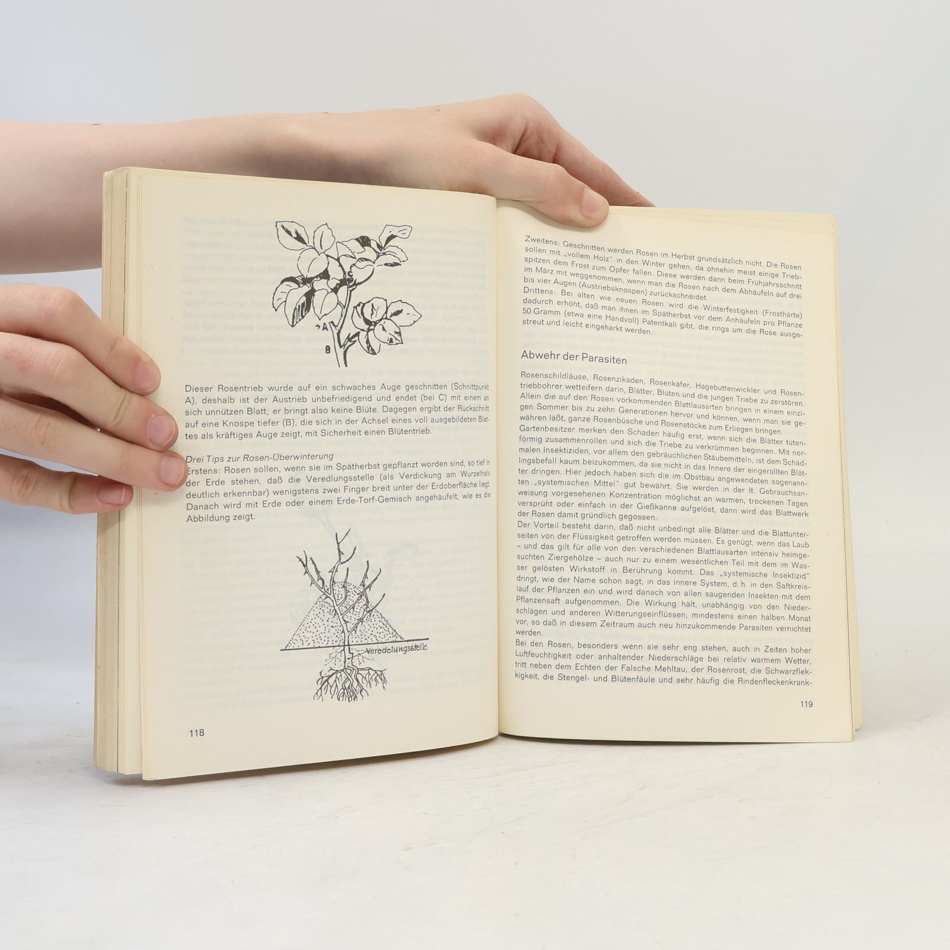 Autores varios Praktisches Gartenbuch