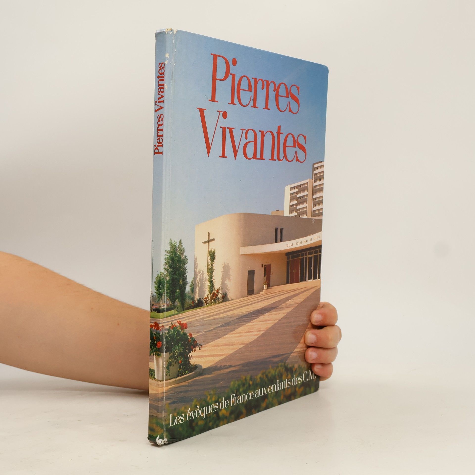 Autores varios Pierres Vivantes