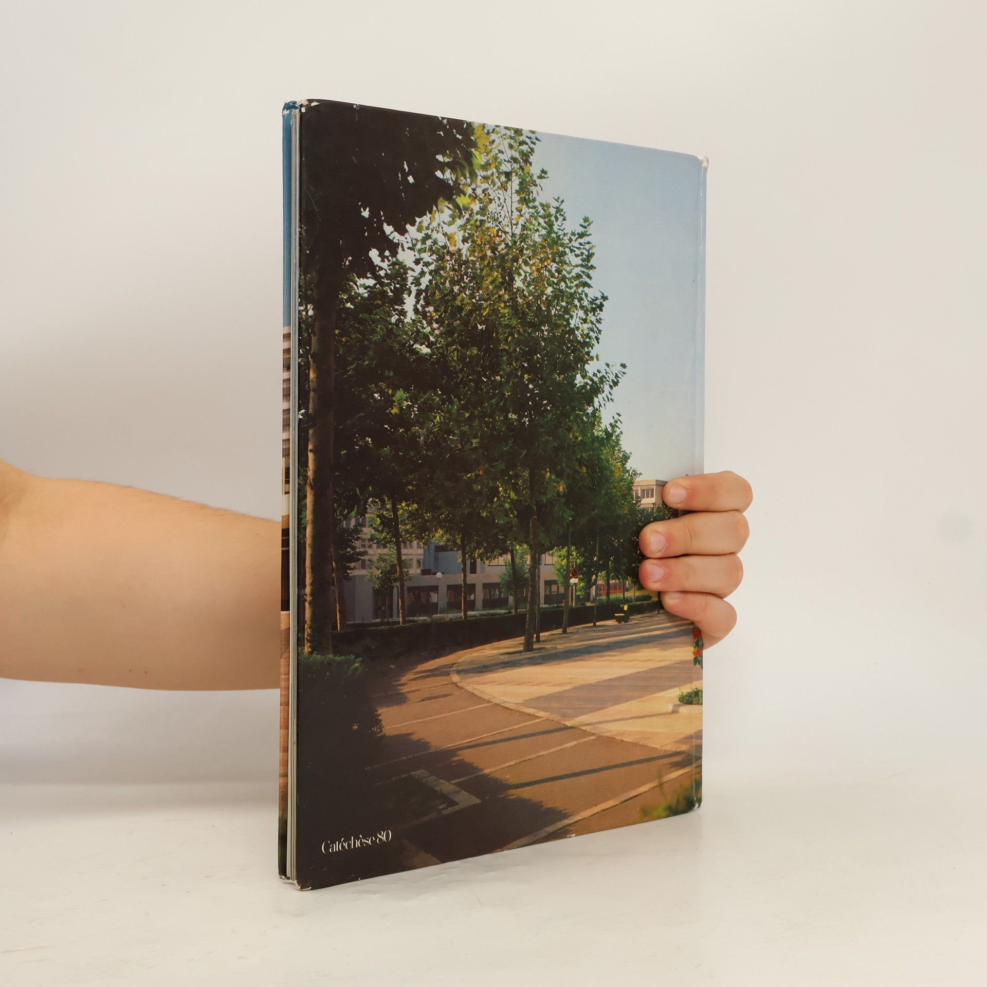 Autores varios Pierres Vivantes