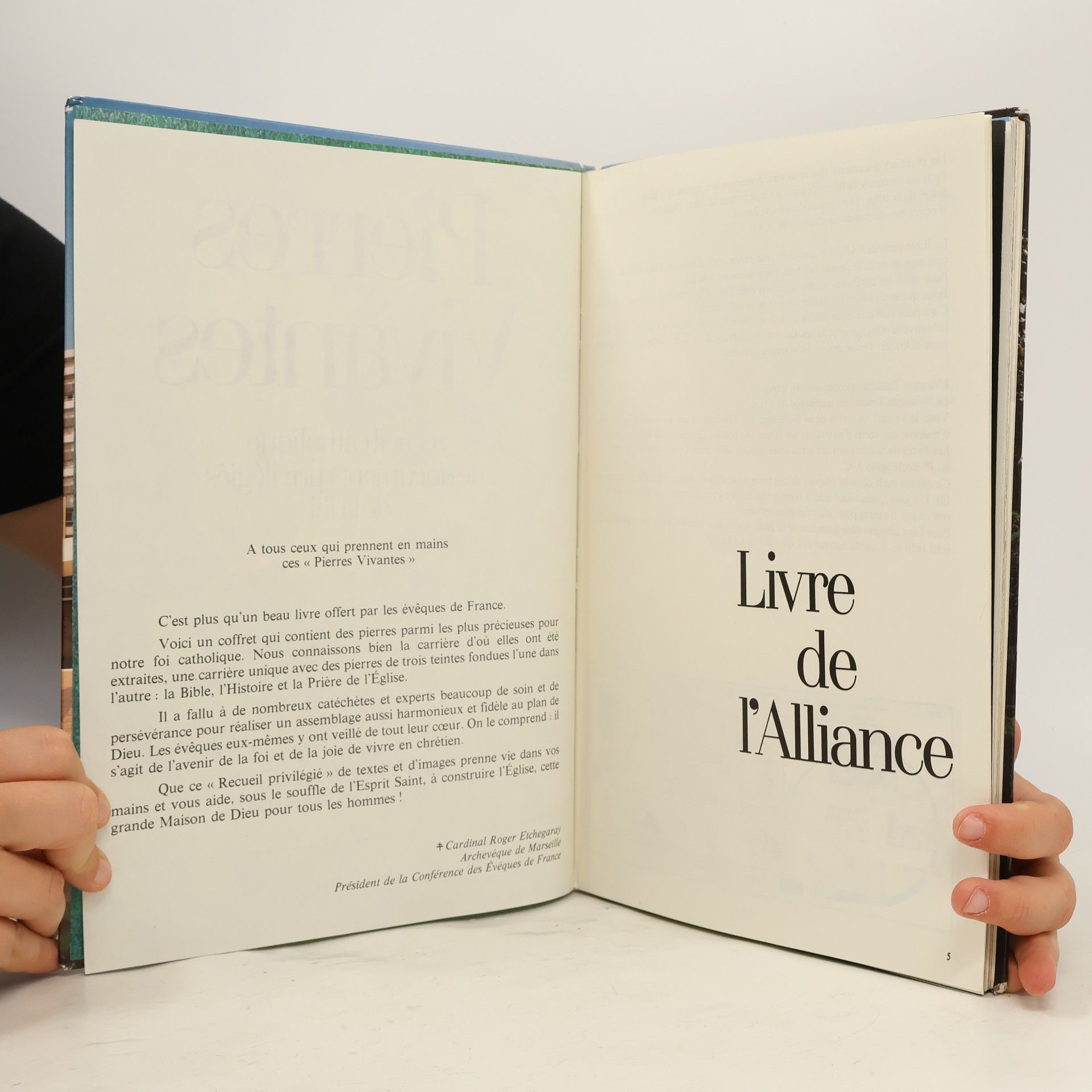 Autores varios Pierres Vivantes