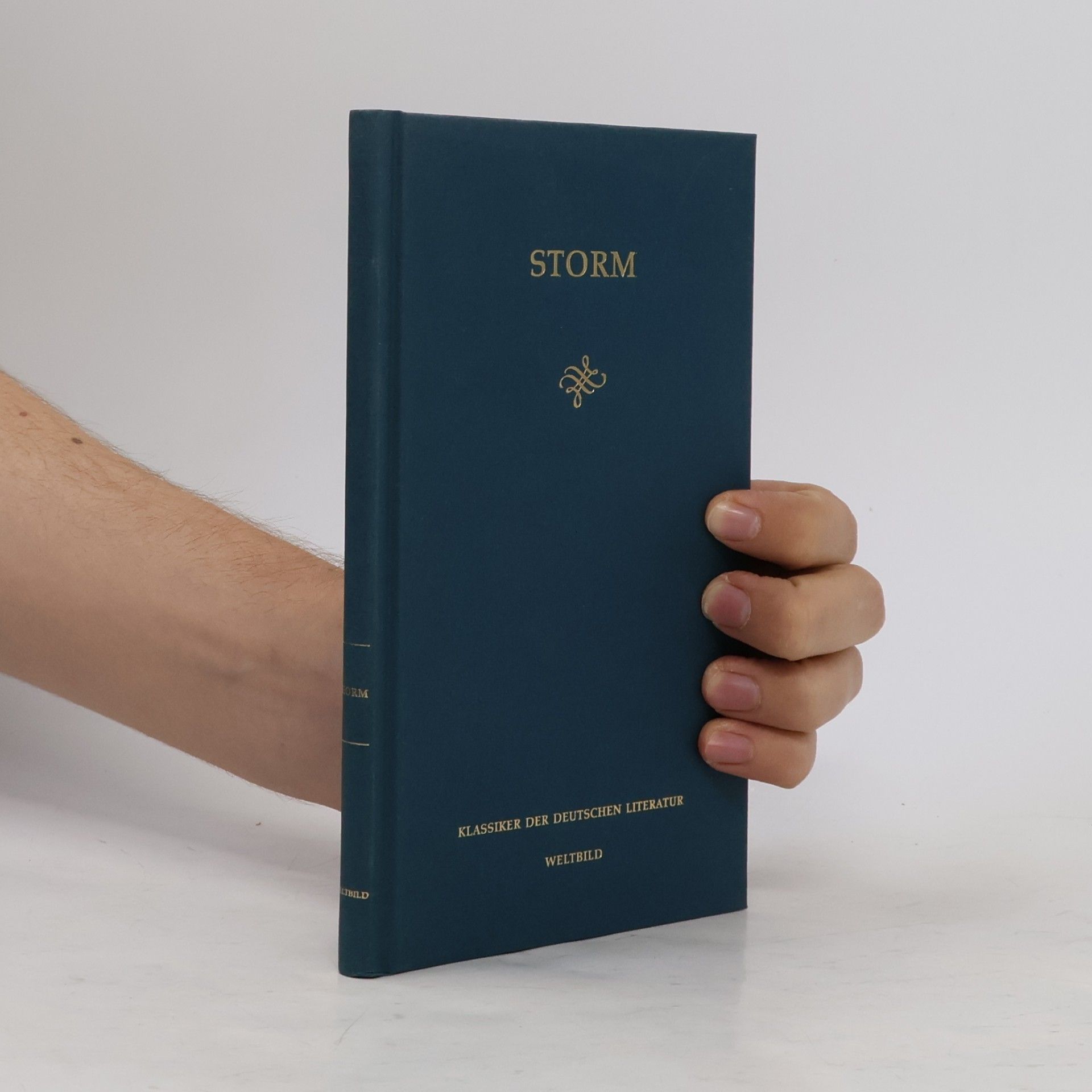 Autorenkollektiv Theodor Storm