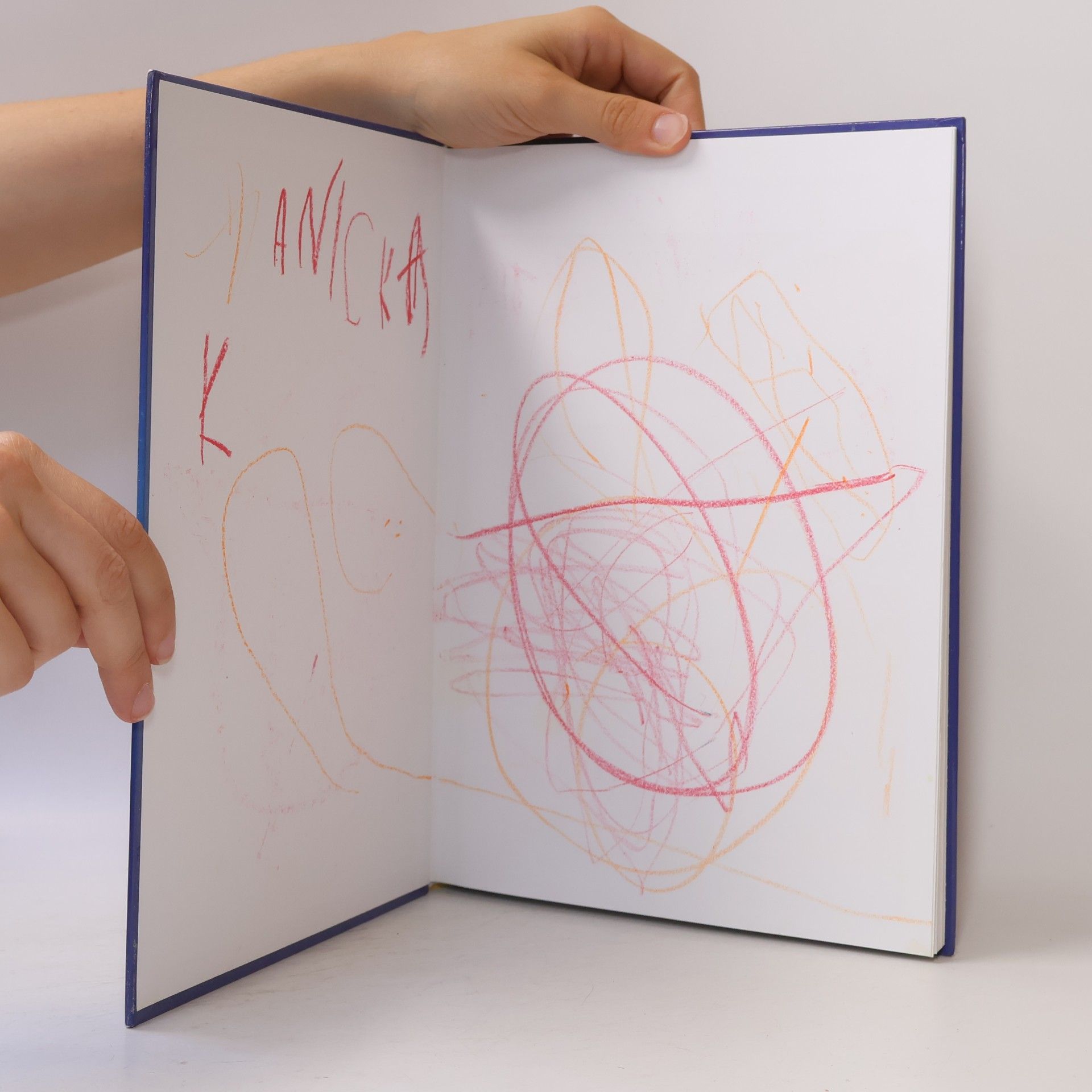 Various authors Velká kniha her a úkolů pro kluky a holky