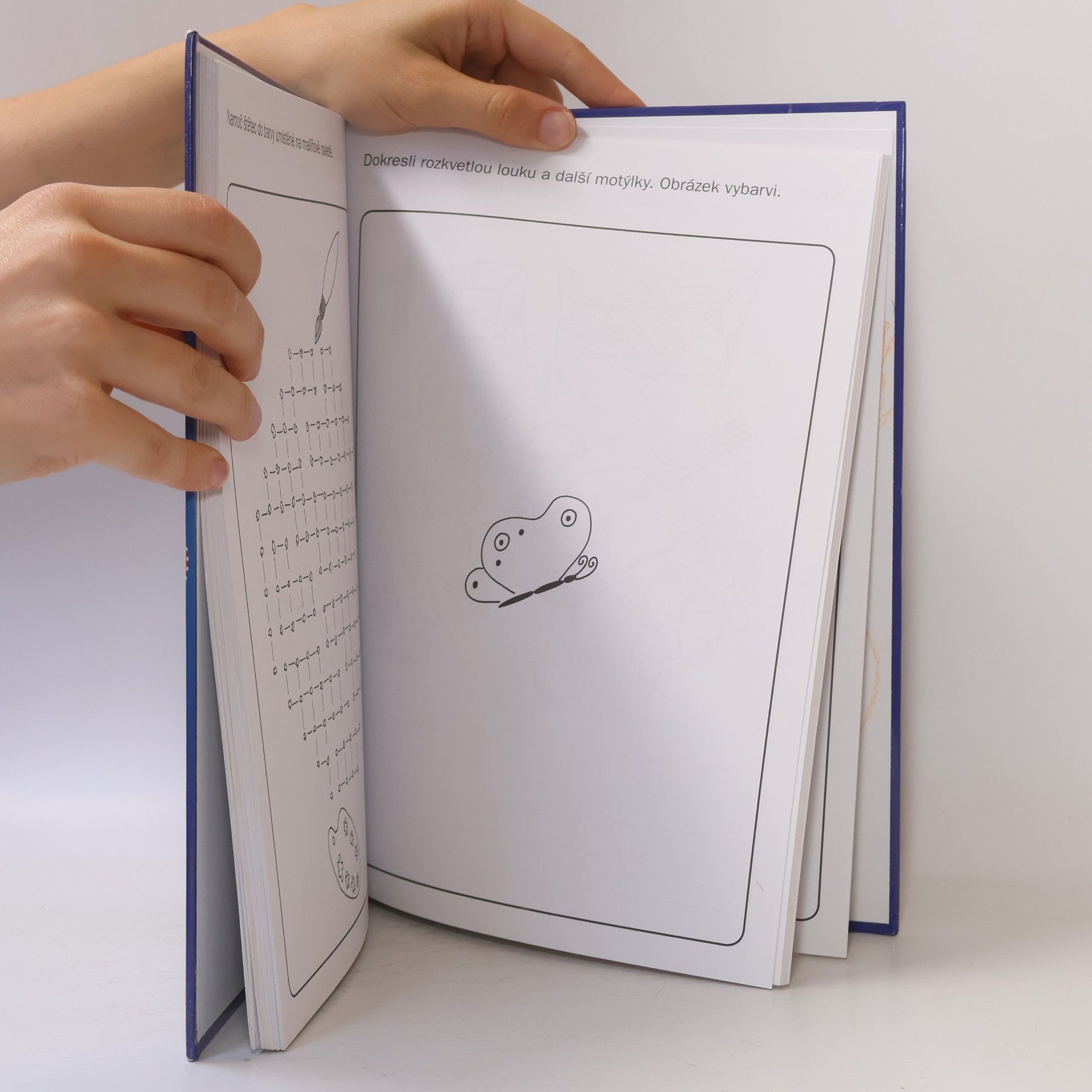 Various authors Velká kniha her a úkolů pro kluky a holky