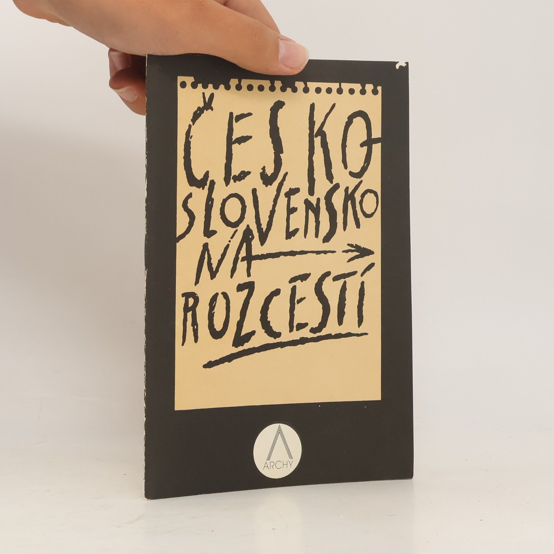 AA.VV. Československo na rozcestí