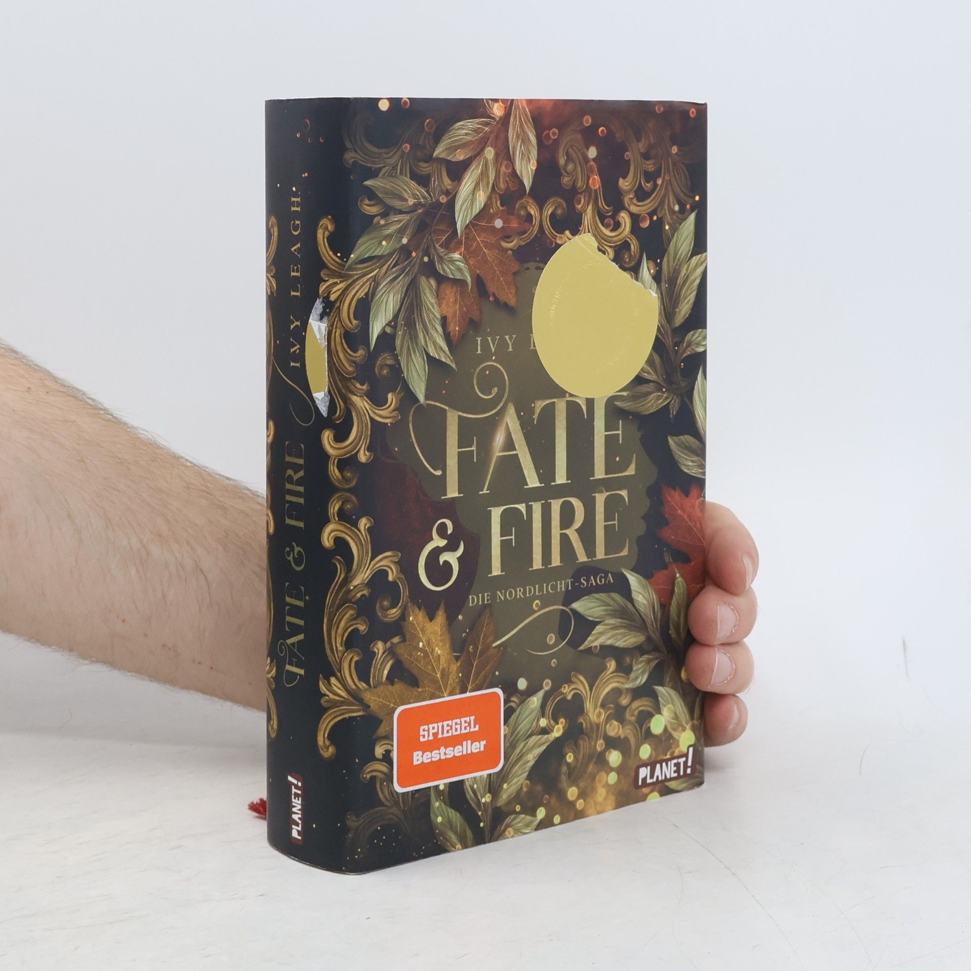 Ivy Leagh Die Nordlicht-Saga 1: Fate and Fire