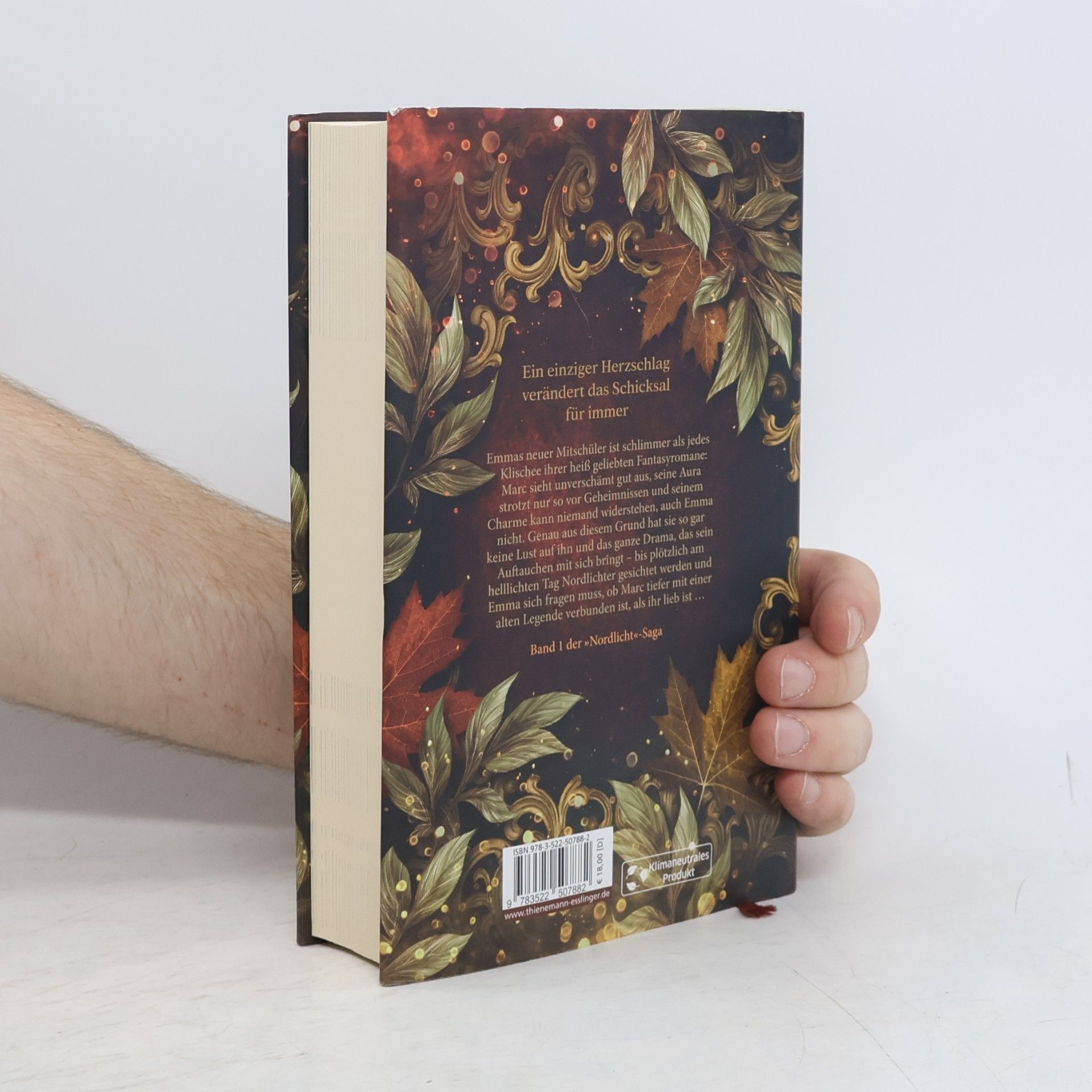 Ivy Leagh Die Nordlicht-Saga 1: Fate and Fire