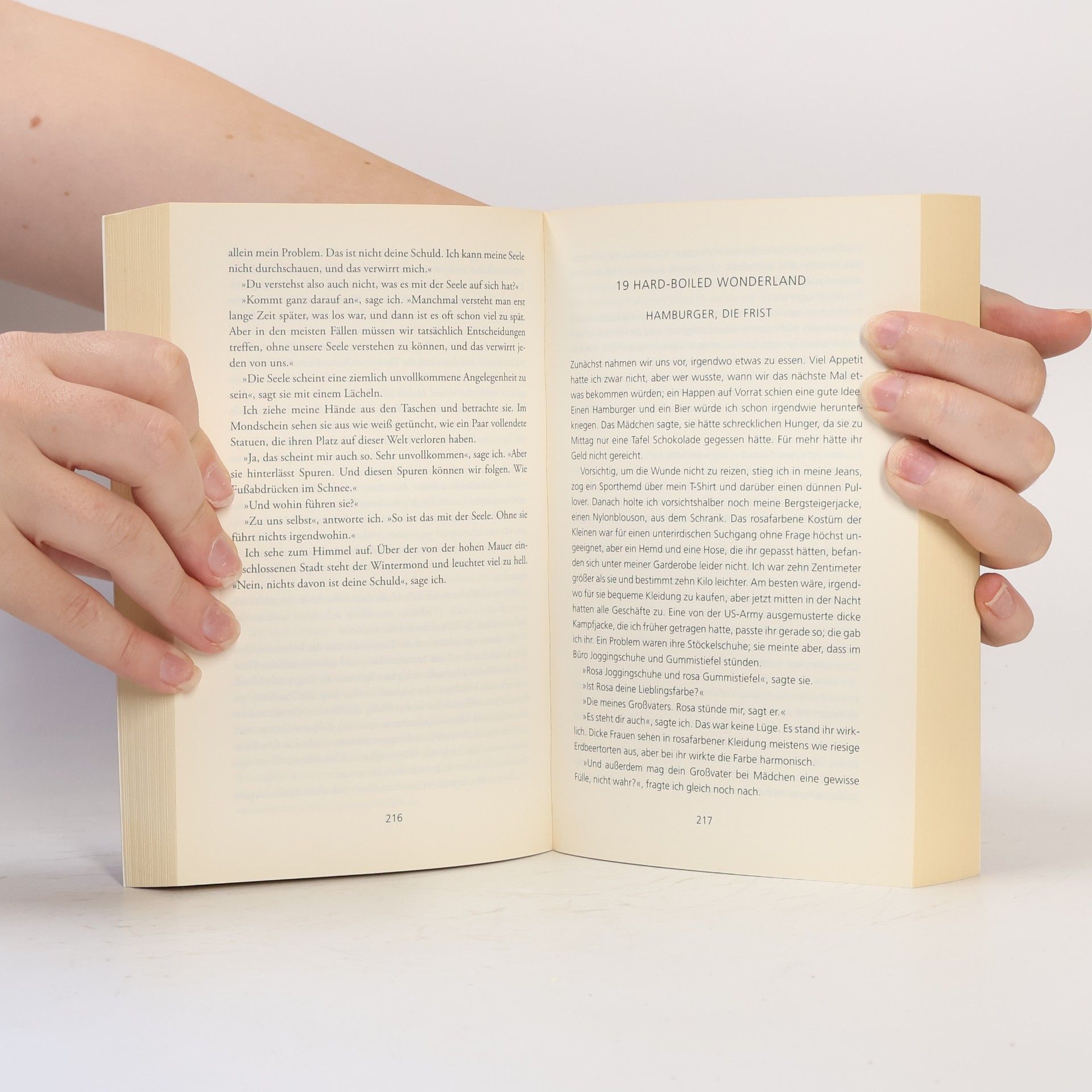 Haruki Murakami Hard-boiled Wonderland und das Ende der Welt