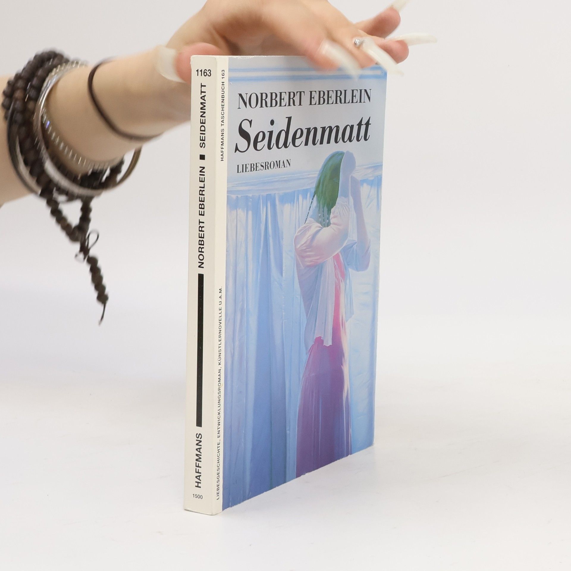 Norbert Eberlein Haffmans Taschenbuch - 163: Seidenmatt