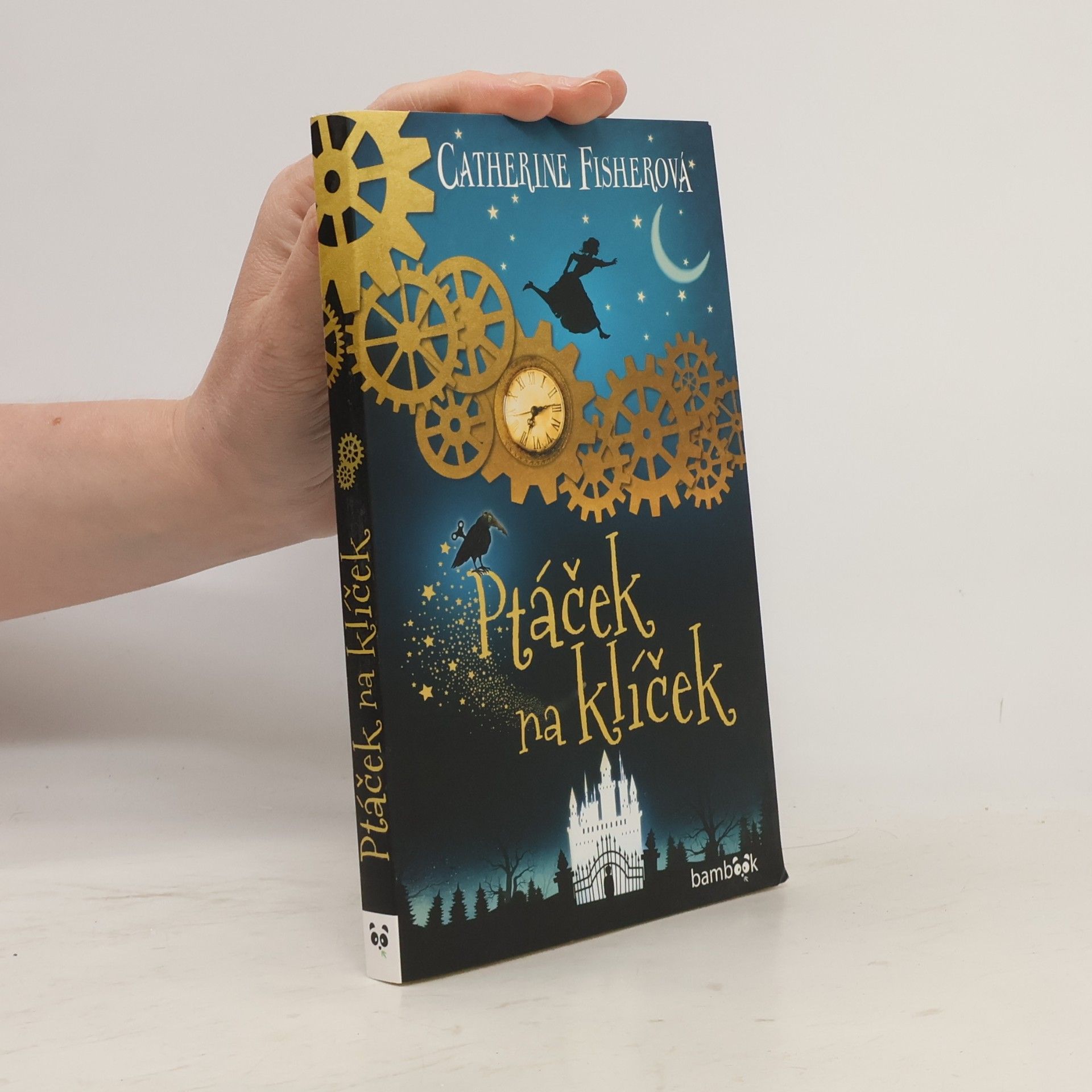 Catherine Fisher Ptáček na klíček