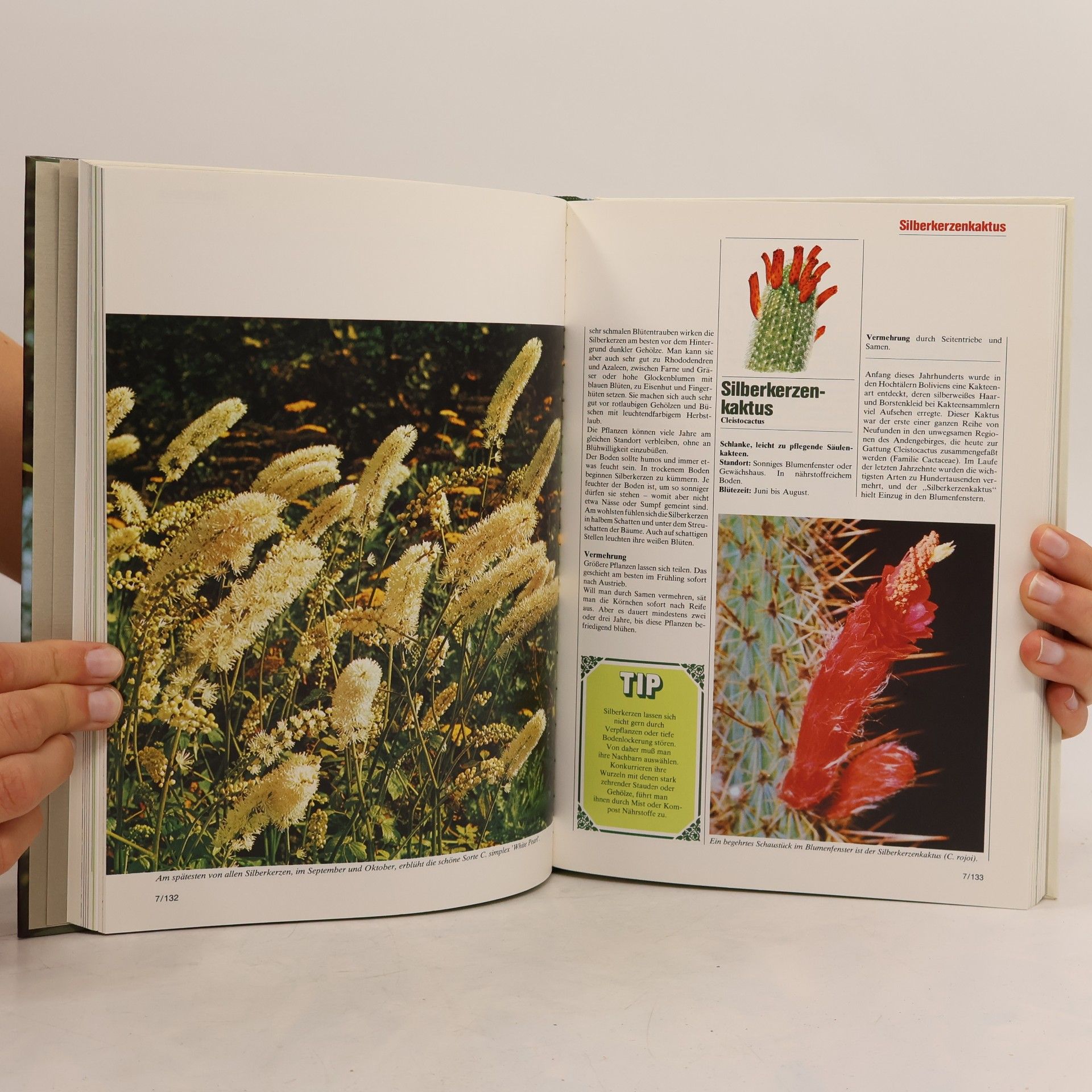 Various authors Blumen & Garten 7. Das praktische Pflanzen-ABC