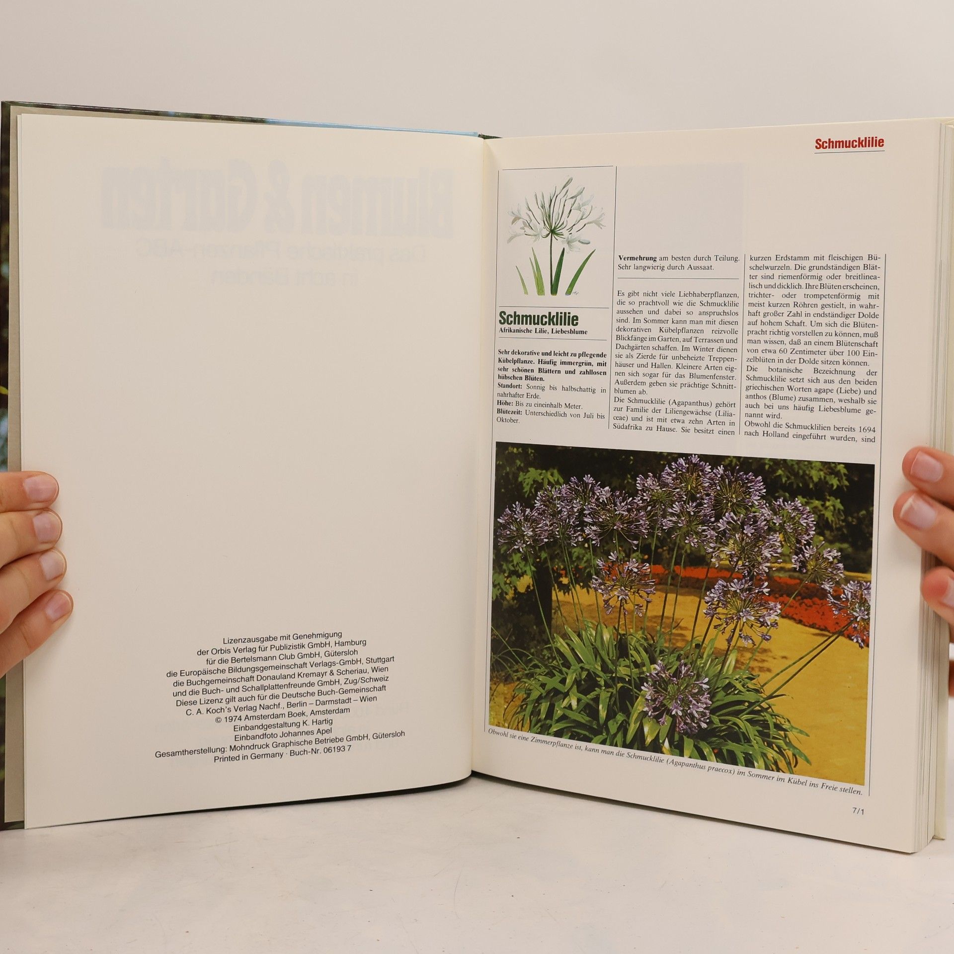 Various authors Blumen & Garten 7. Das praktische Pflanzen-ABC
