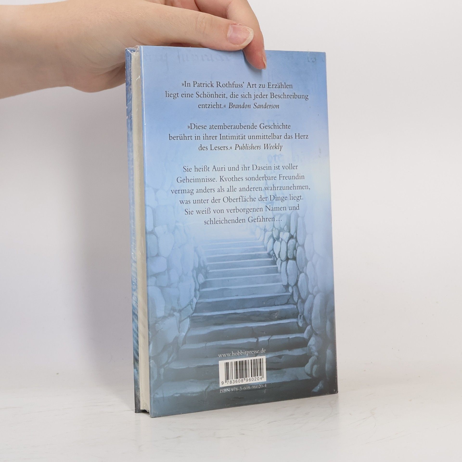 Patrick Rothfuss Die Musik der Stille