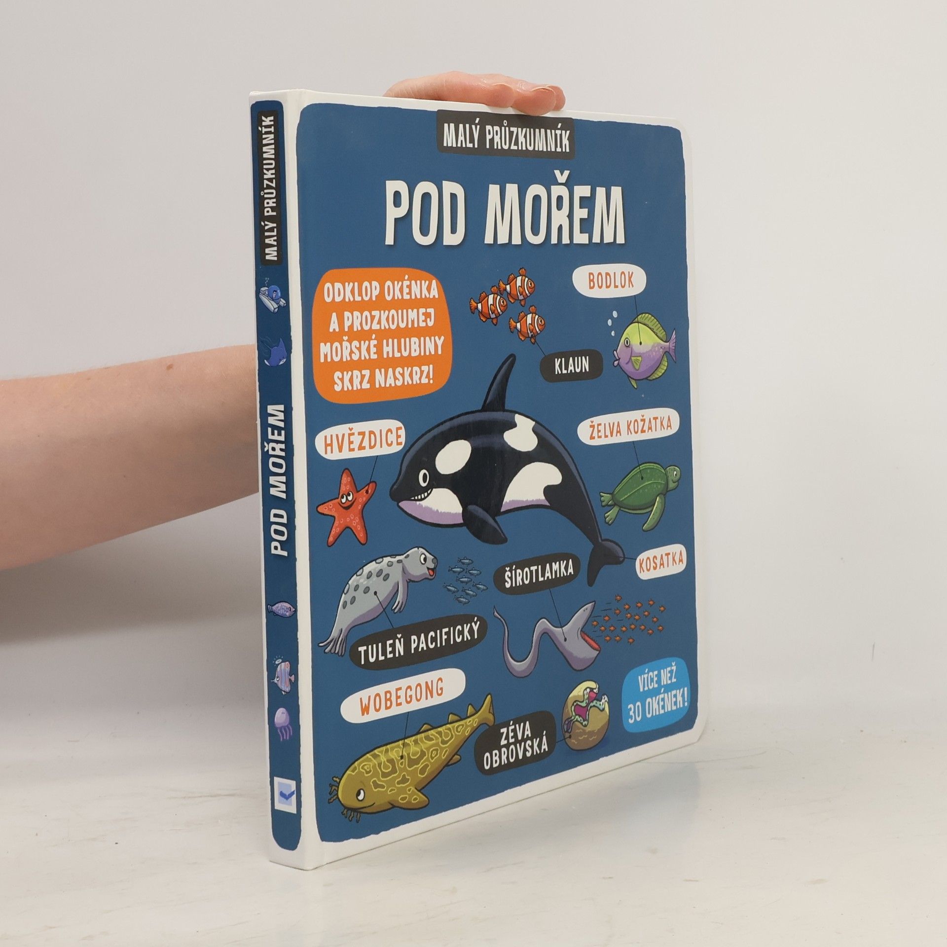 Kolektiv autorů Pod mořem