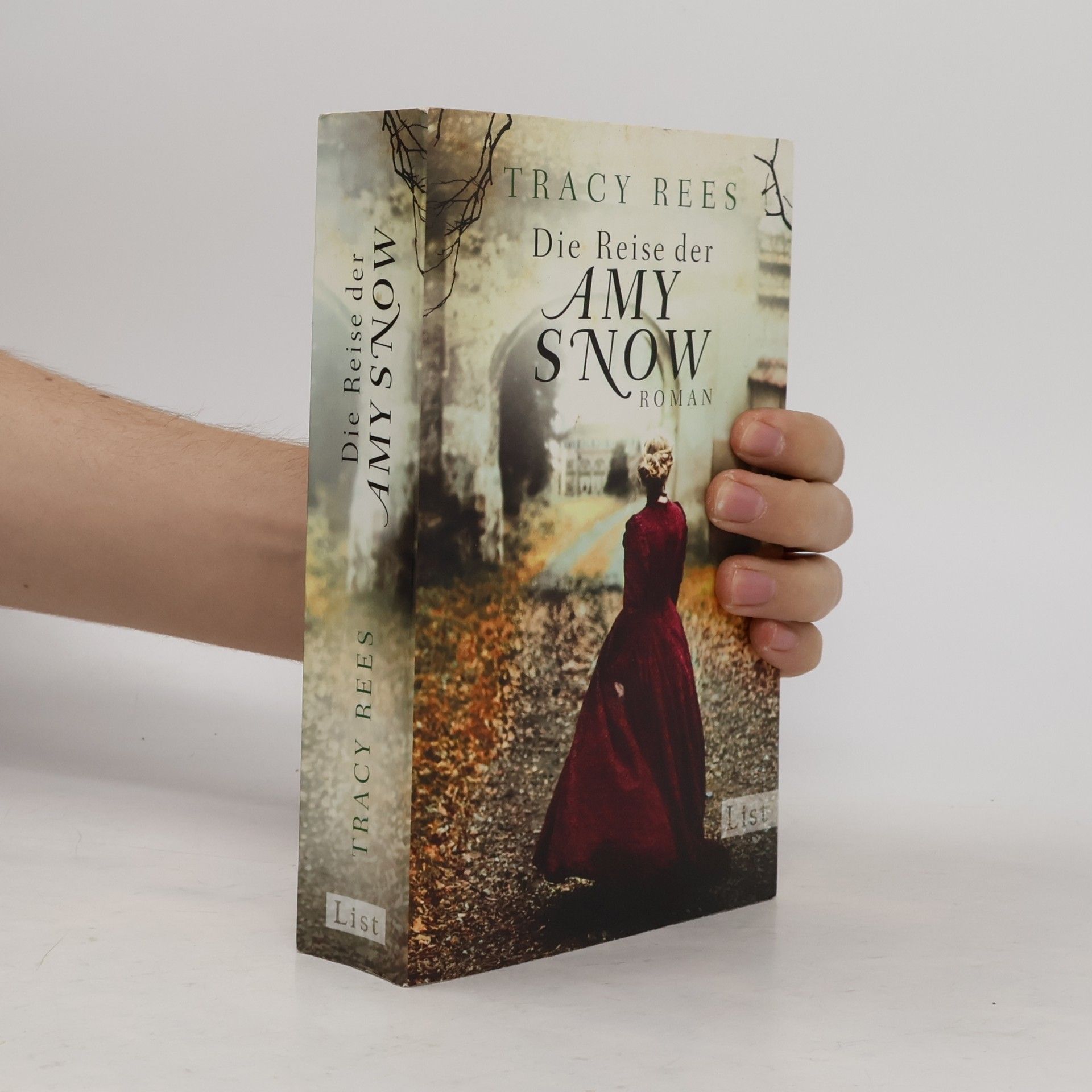 Tracy Rees Die Reise der Amy Snow