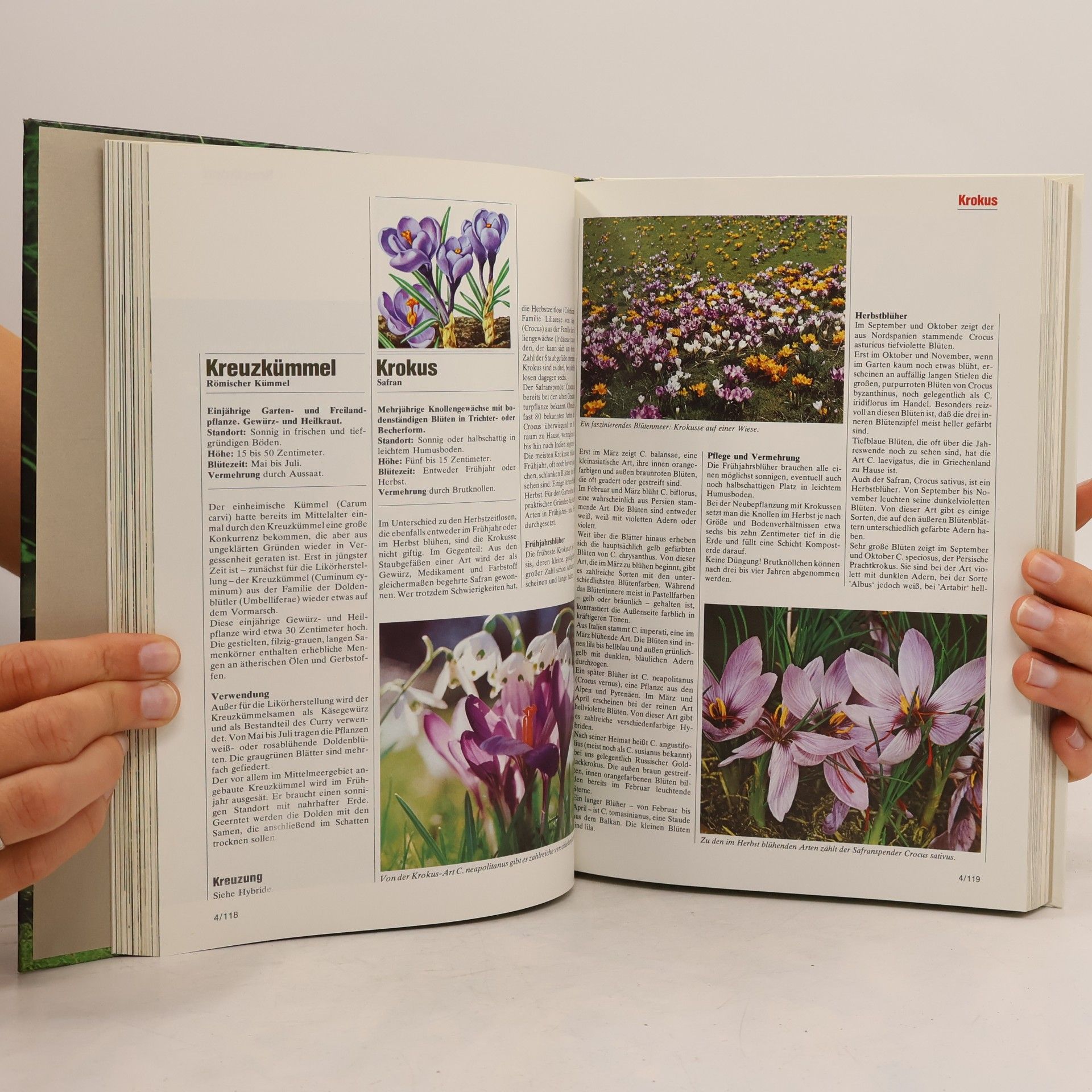 Autorenkollektiv Blumen & Garten 4. Kl-Me