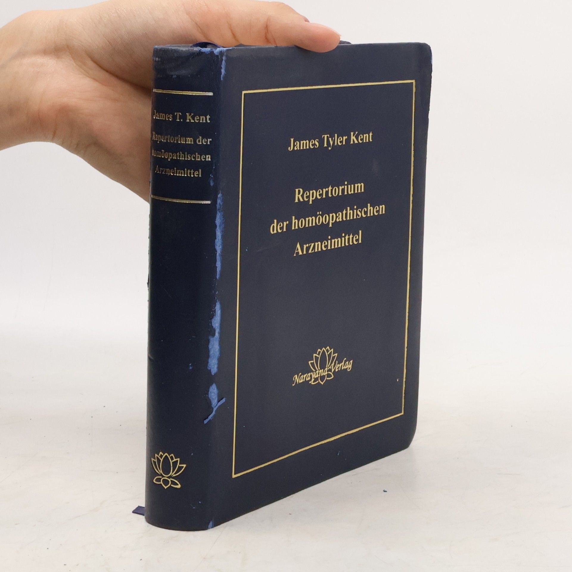 Klaus Holzapfel Repertorium der homöopathischen Arzneimittel: Taschenbuchausgabe
