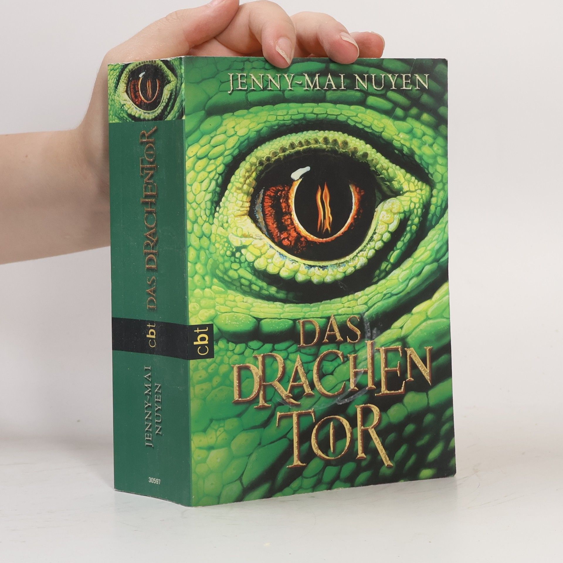 Jenny-Mai Nuyen Das Drachentor