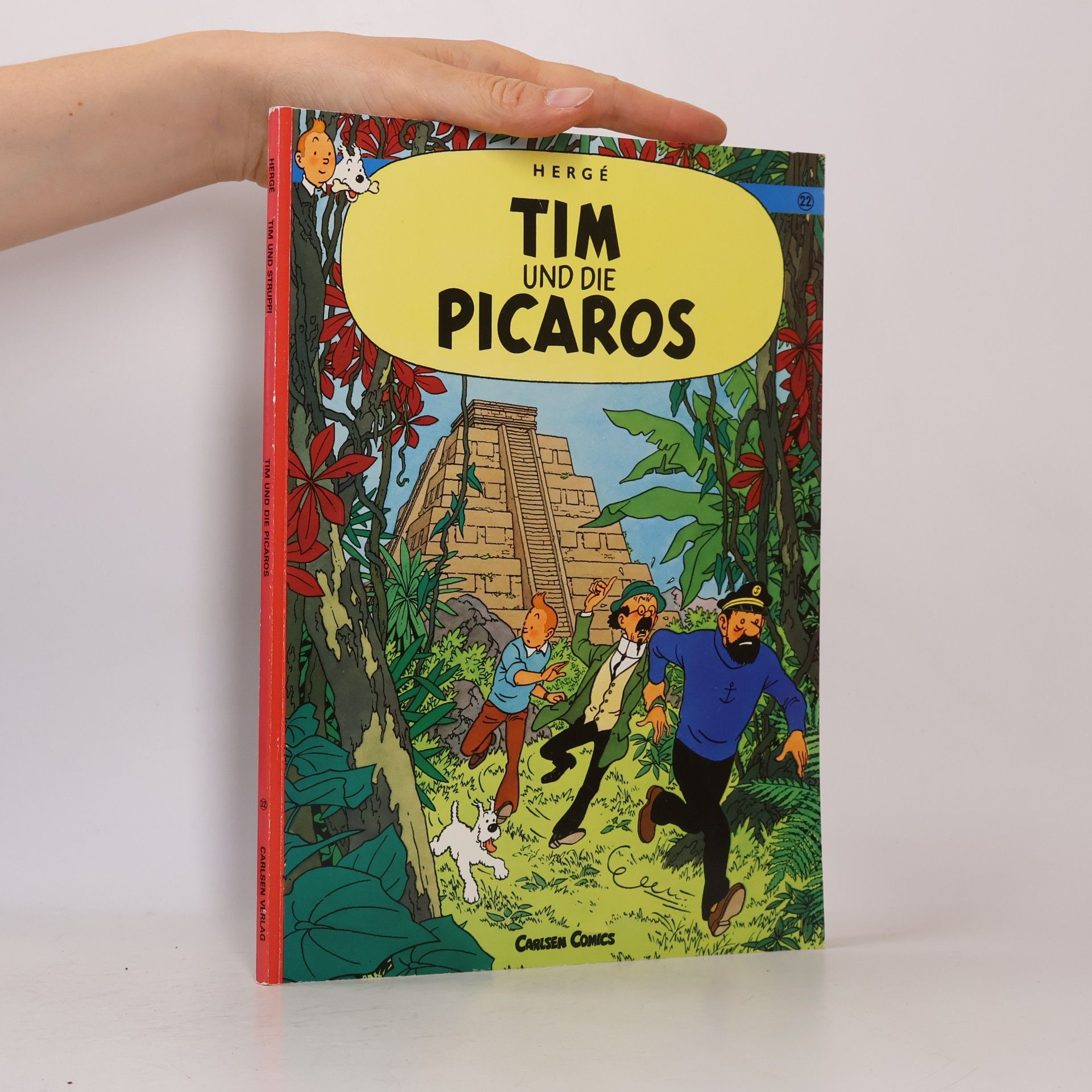 Tim und die Picaros