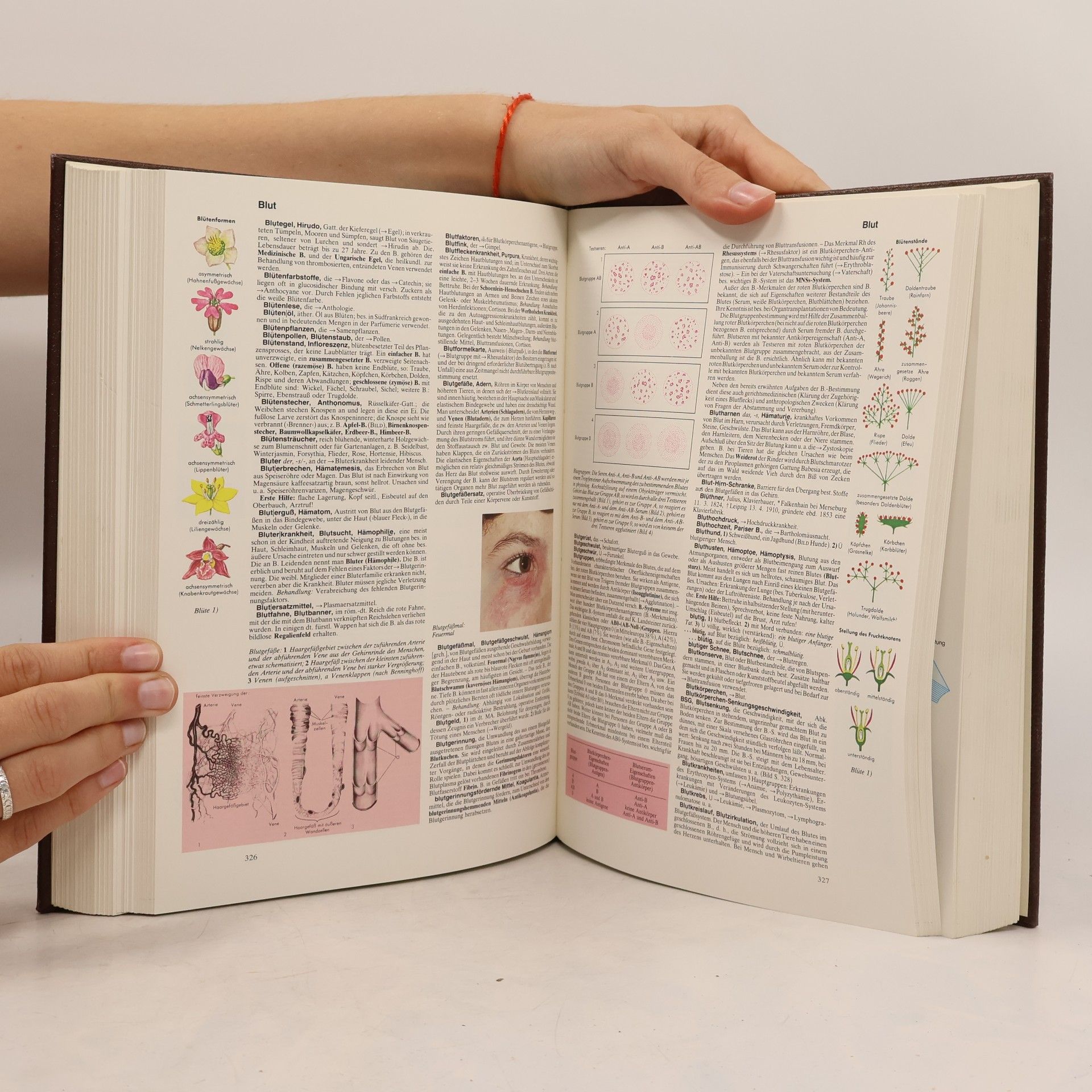 Auteurscollectief Der neue Brockhaus 1