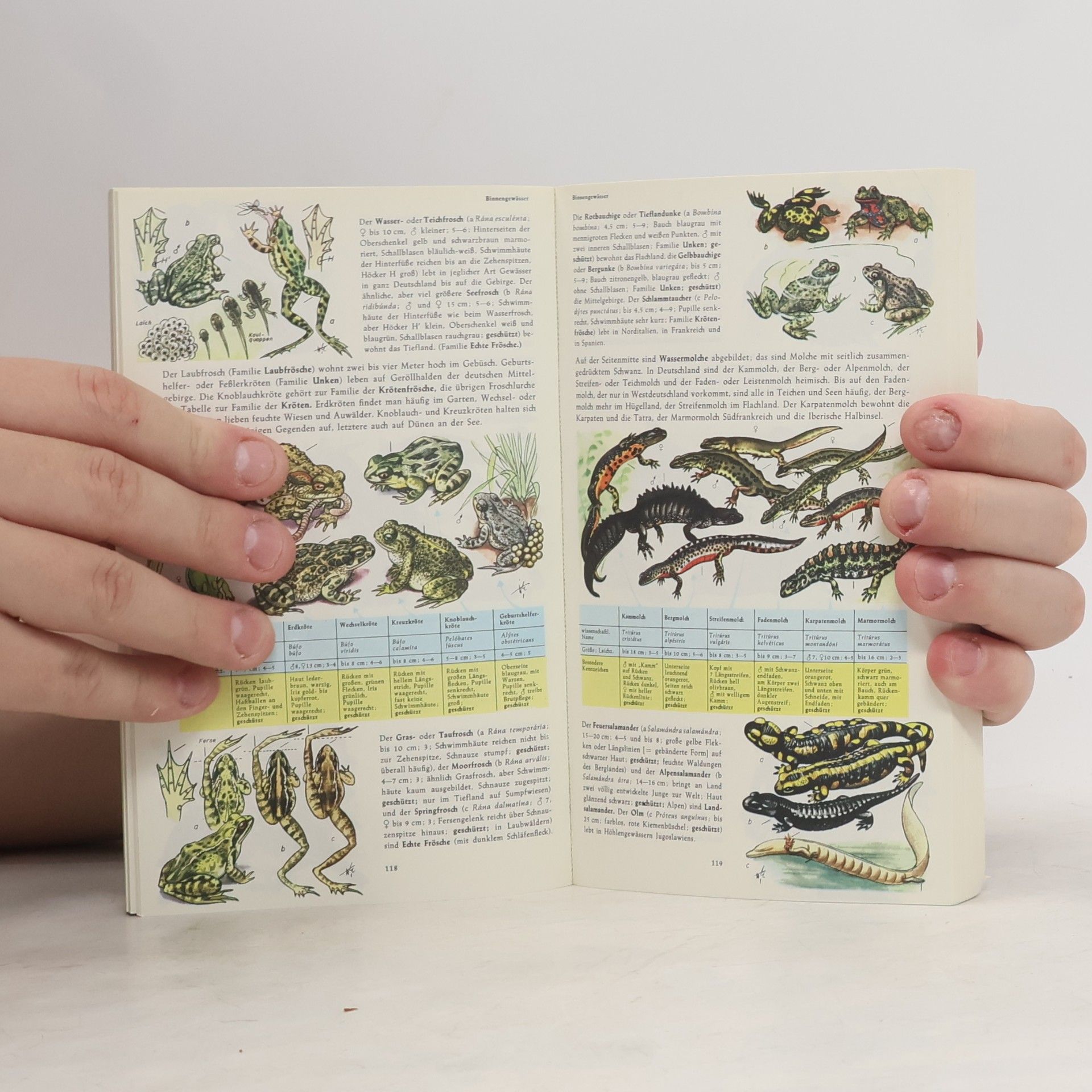 Harry Garms Pflanzen und Tiere Europas