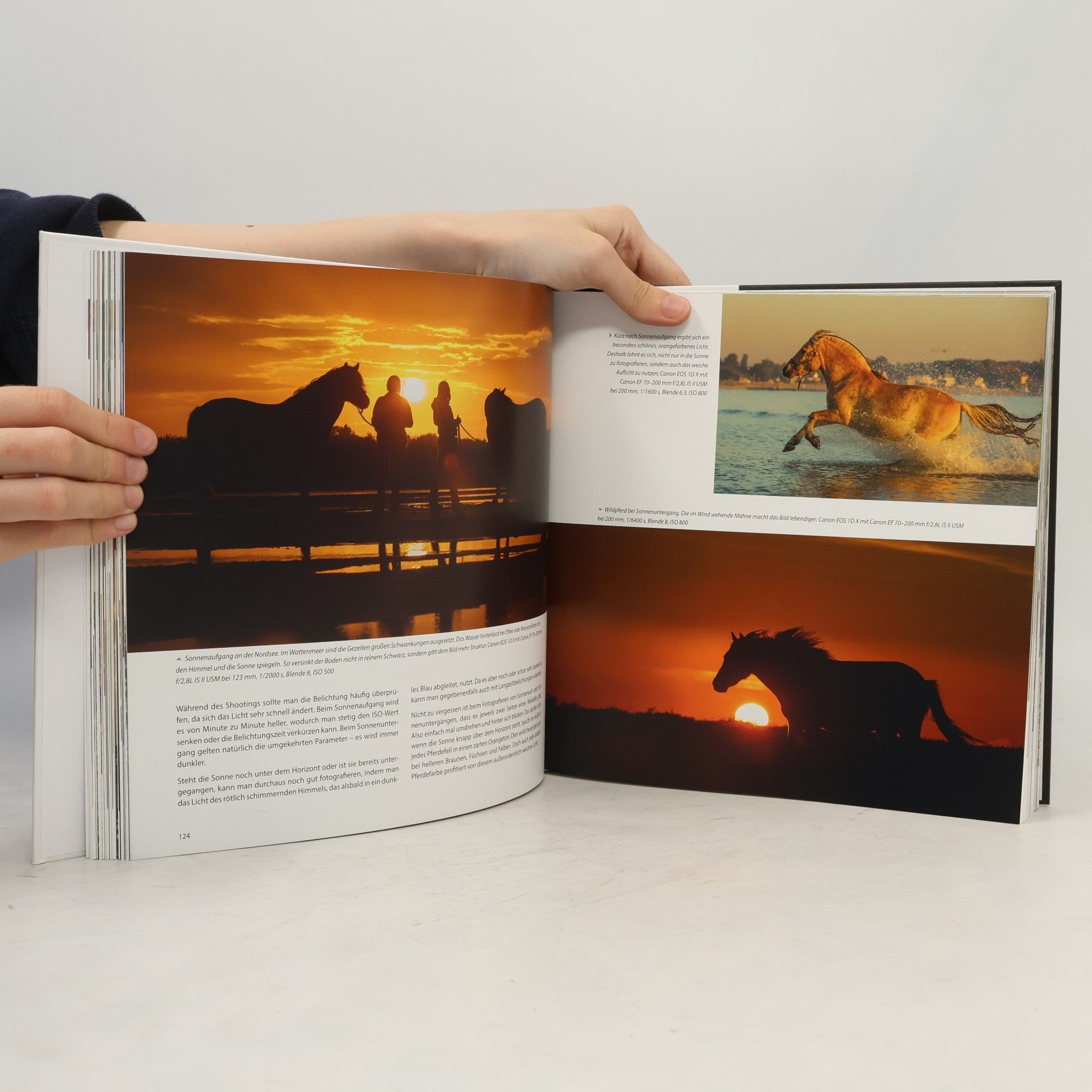 Renate Ettl Kreative Pferdefotografie