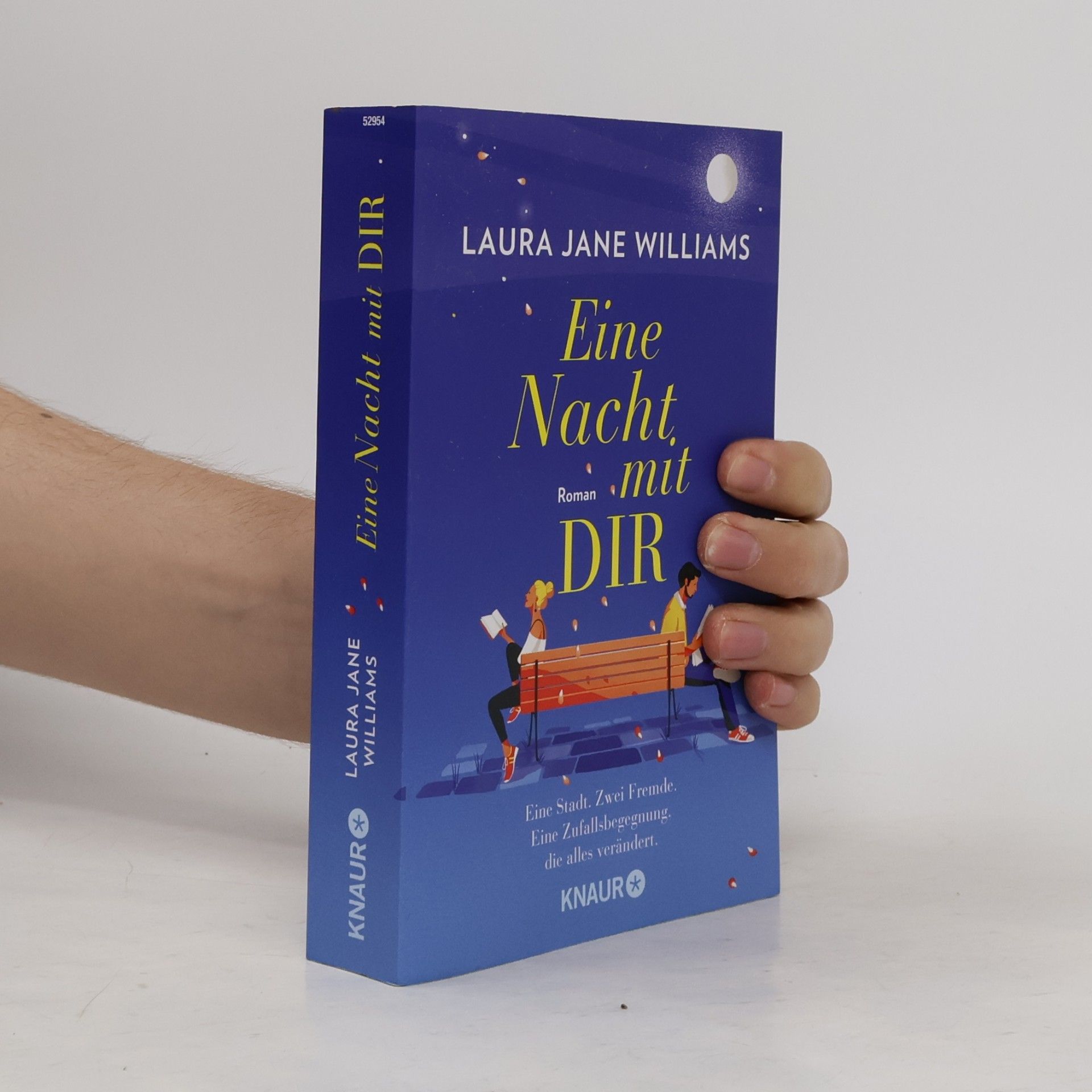 Laura Jane Williams Eine Nacht mit dir