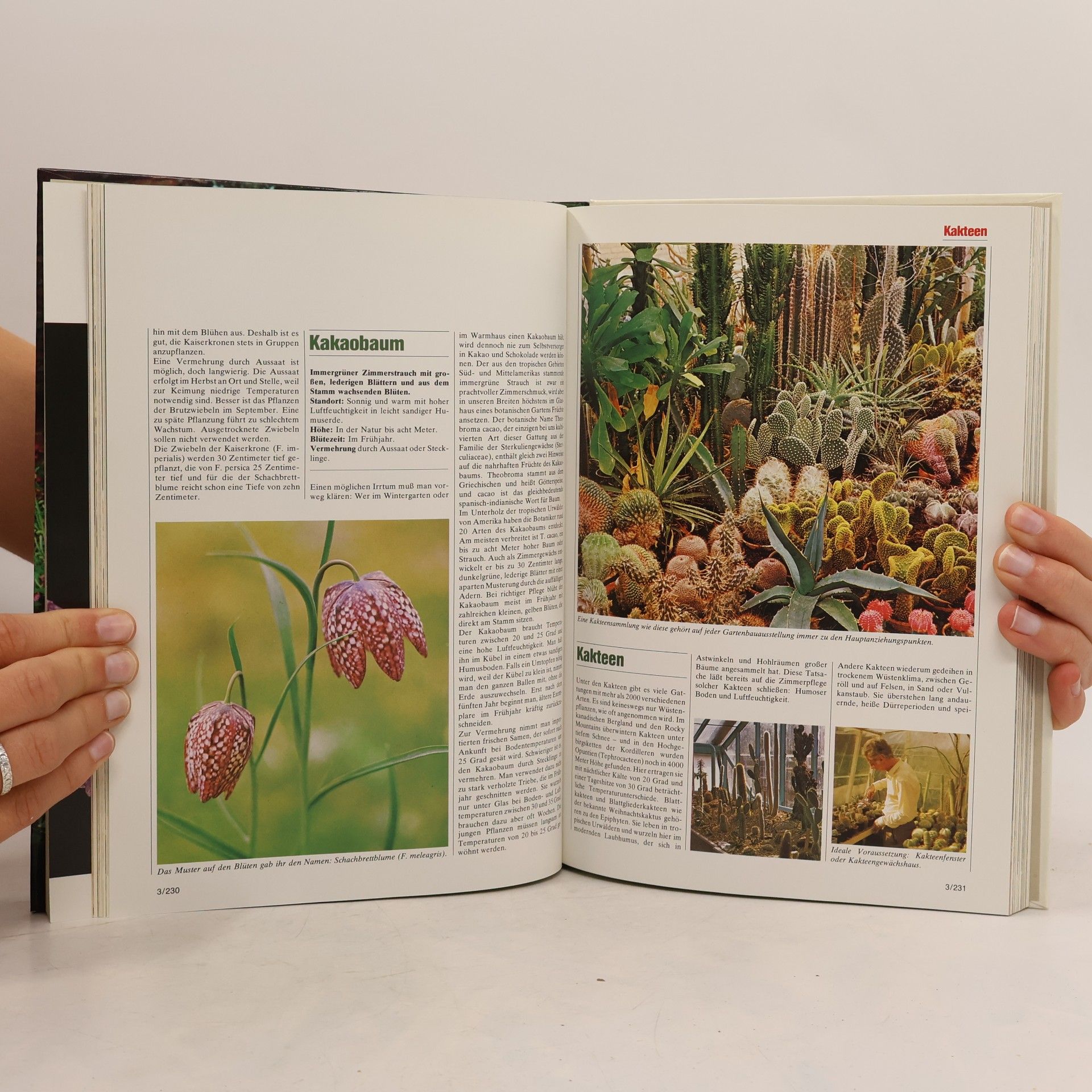 Auteurscollectief Blumen und Garten. Das praktische Pflanzen ABC 3