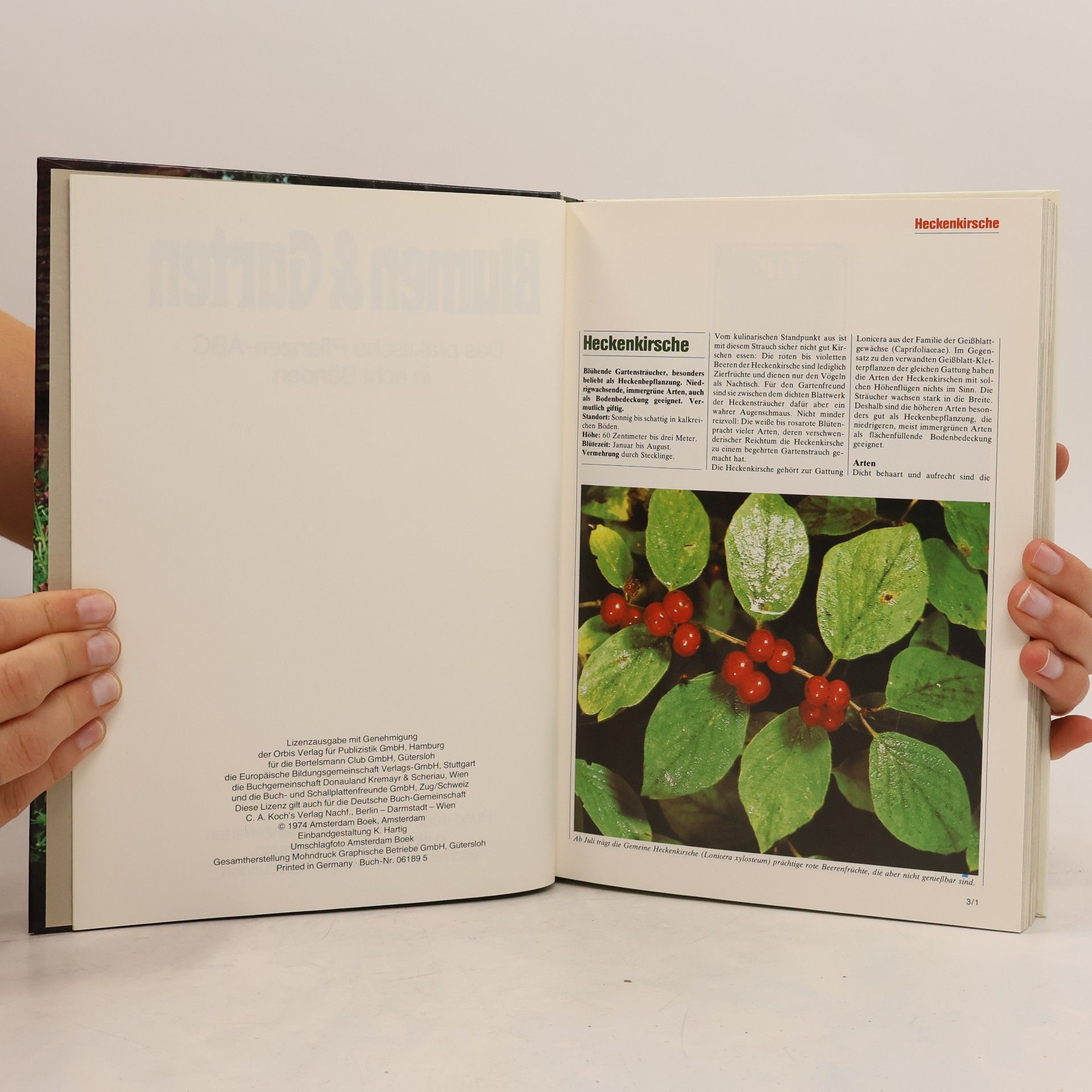 Auteurscollectief Blumen und Garten. Das praktische Pflanzen ABC 3