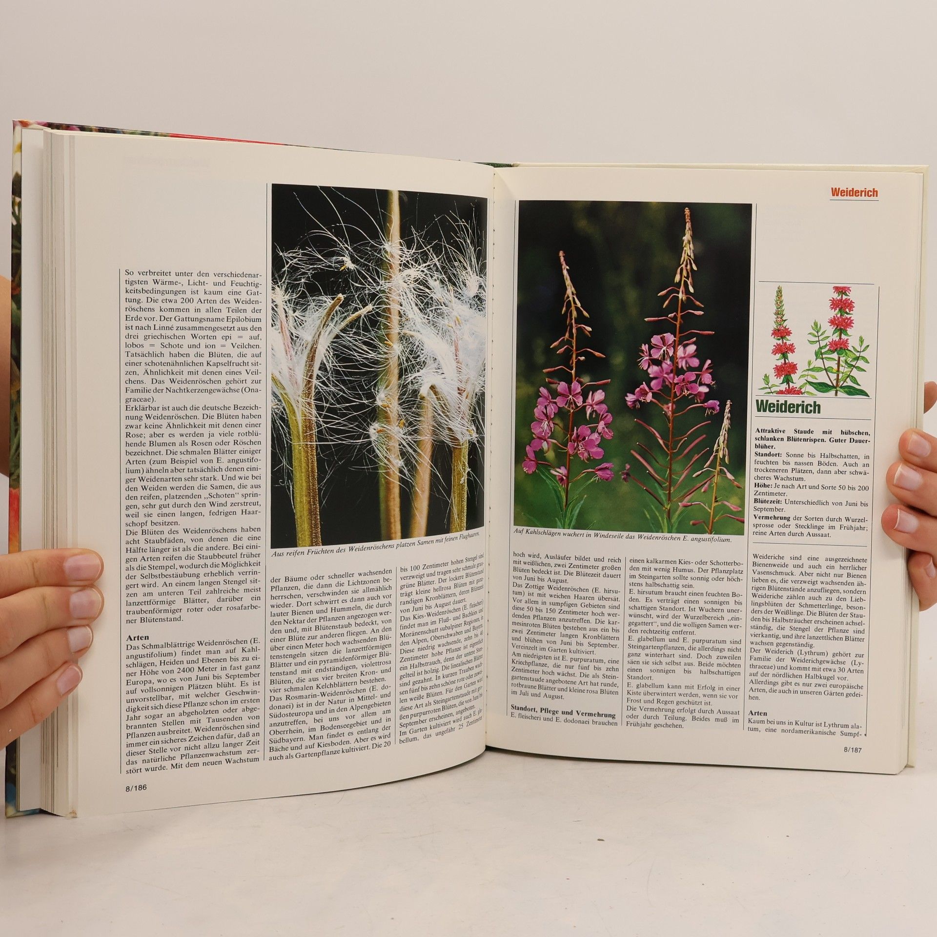 Various authors Blumen & Garten 8. Das praktische Pflanzen-ABC