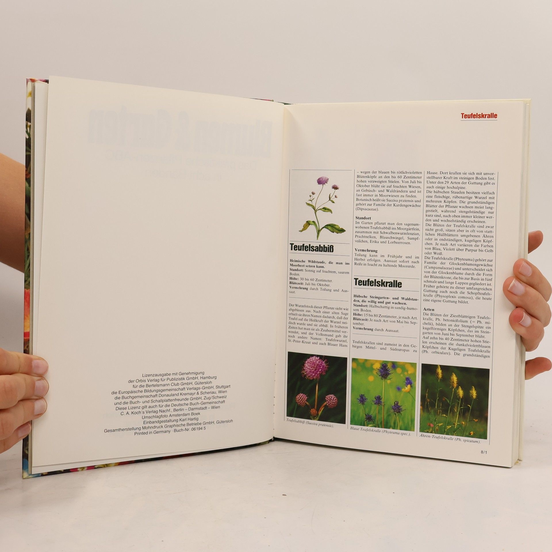 Various authors Blumen & Garten 8. Das praktische Pflanzen-ABC