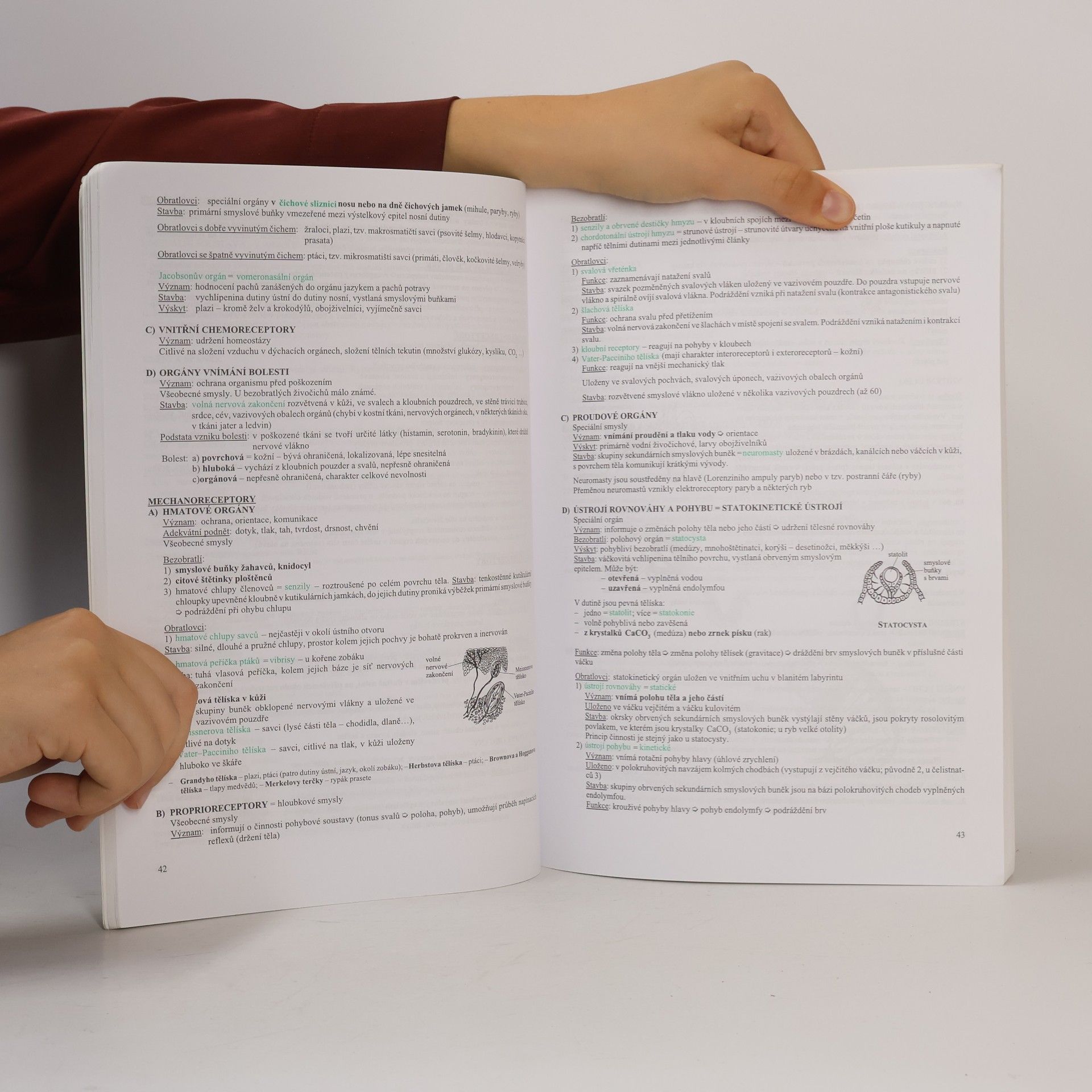 Hana Hančová Biologie v kostce. Pro střední školy. 2. díl.