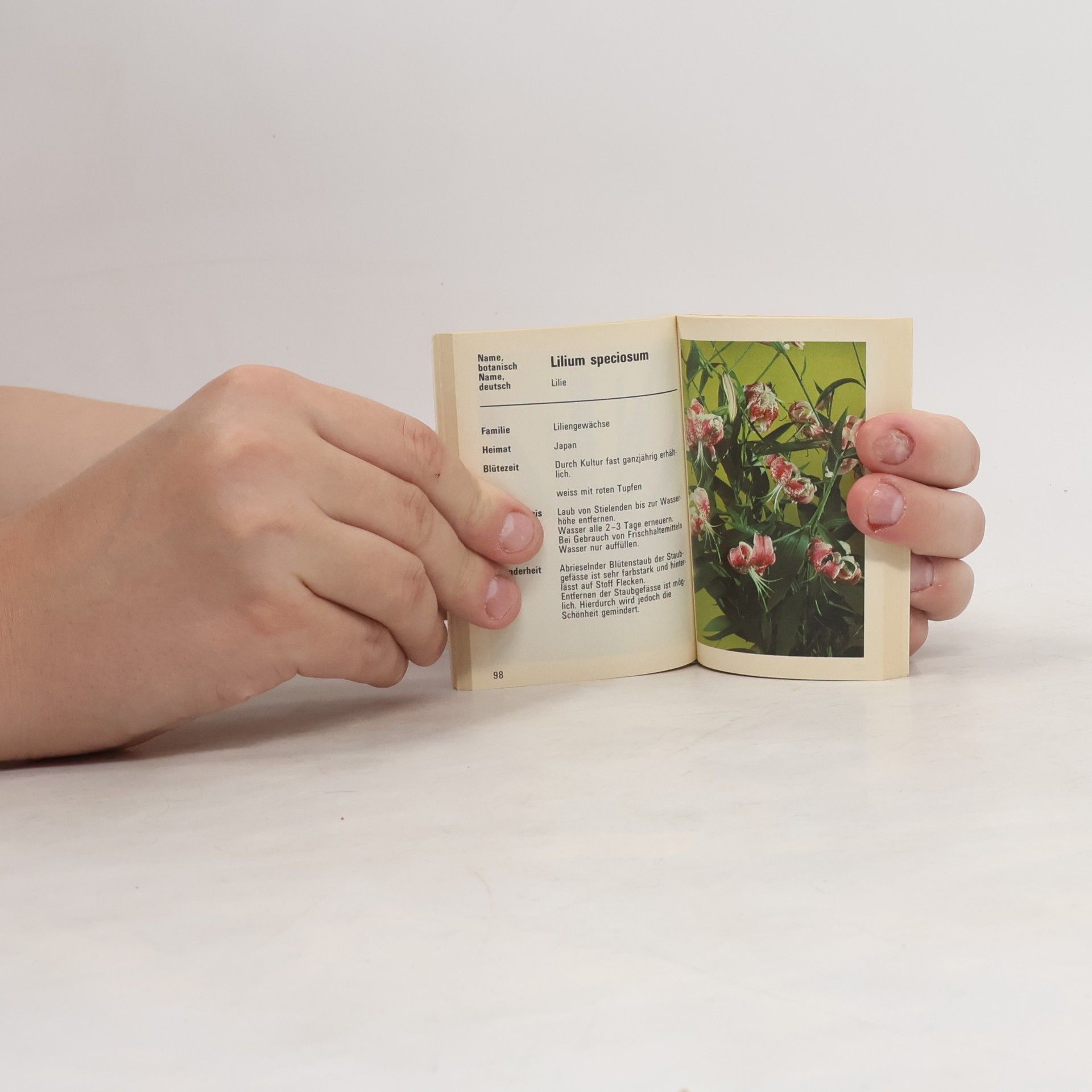 Autorenkollektiv Wir pflegen Blumen