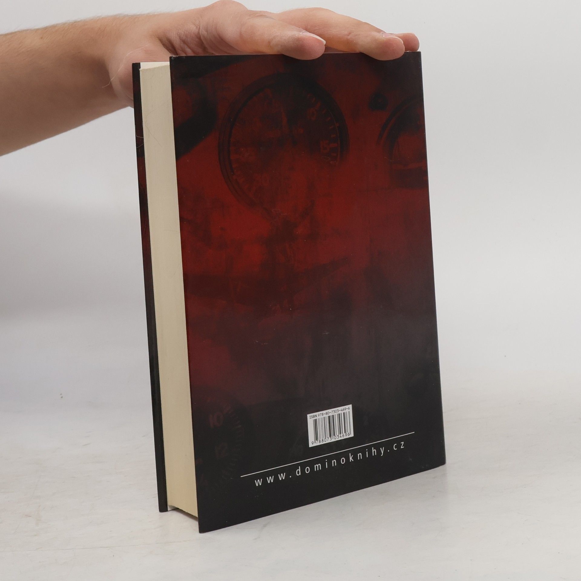 Robert Ludlum Rhinemannova výměna