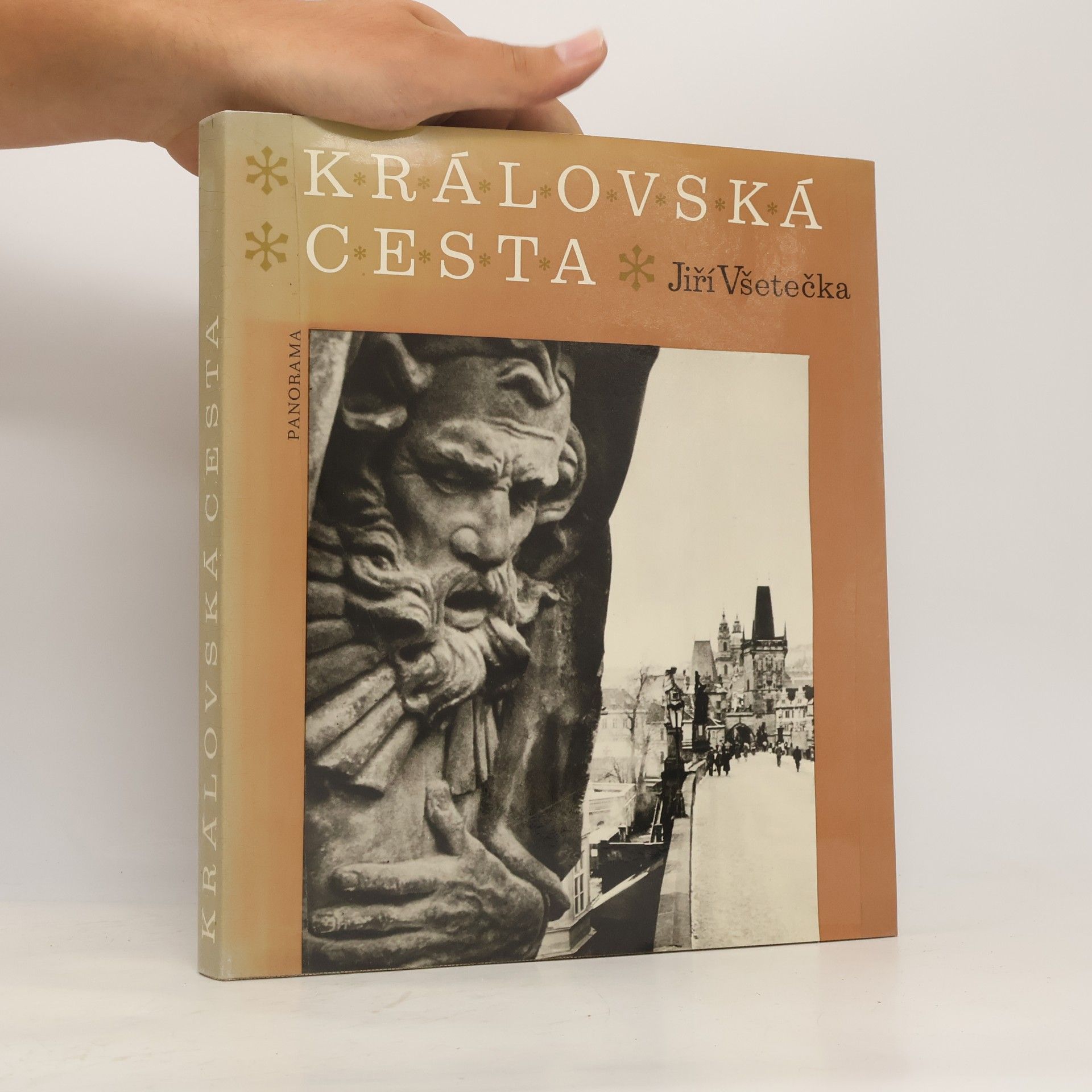 Jiří Všetečka Královská cesta