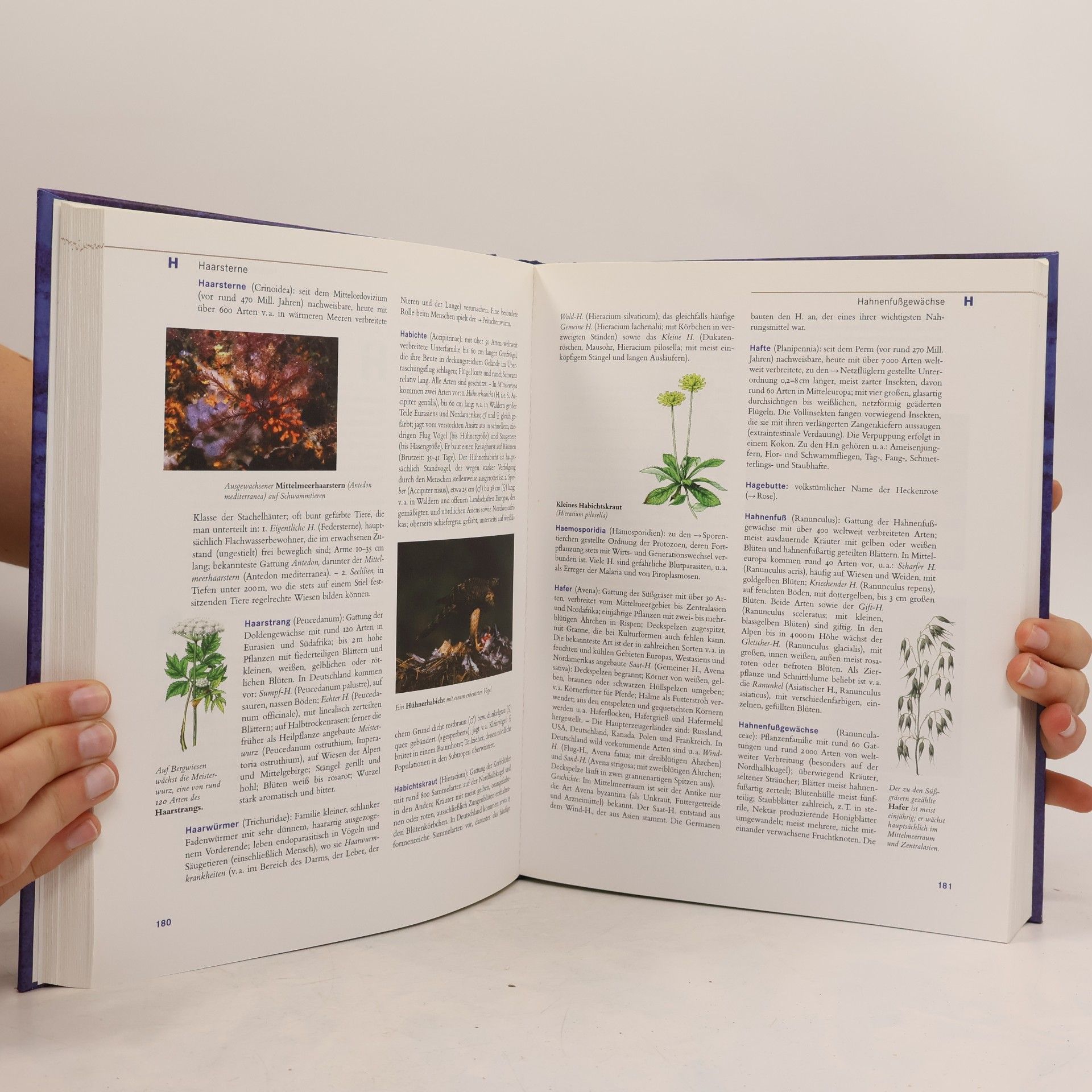 Andreas Held Brockhaus, Tiere und Pflanzen von A - Z
