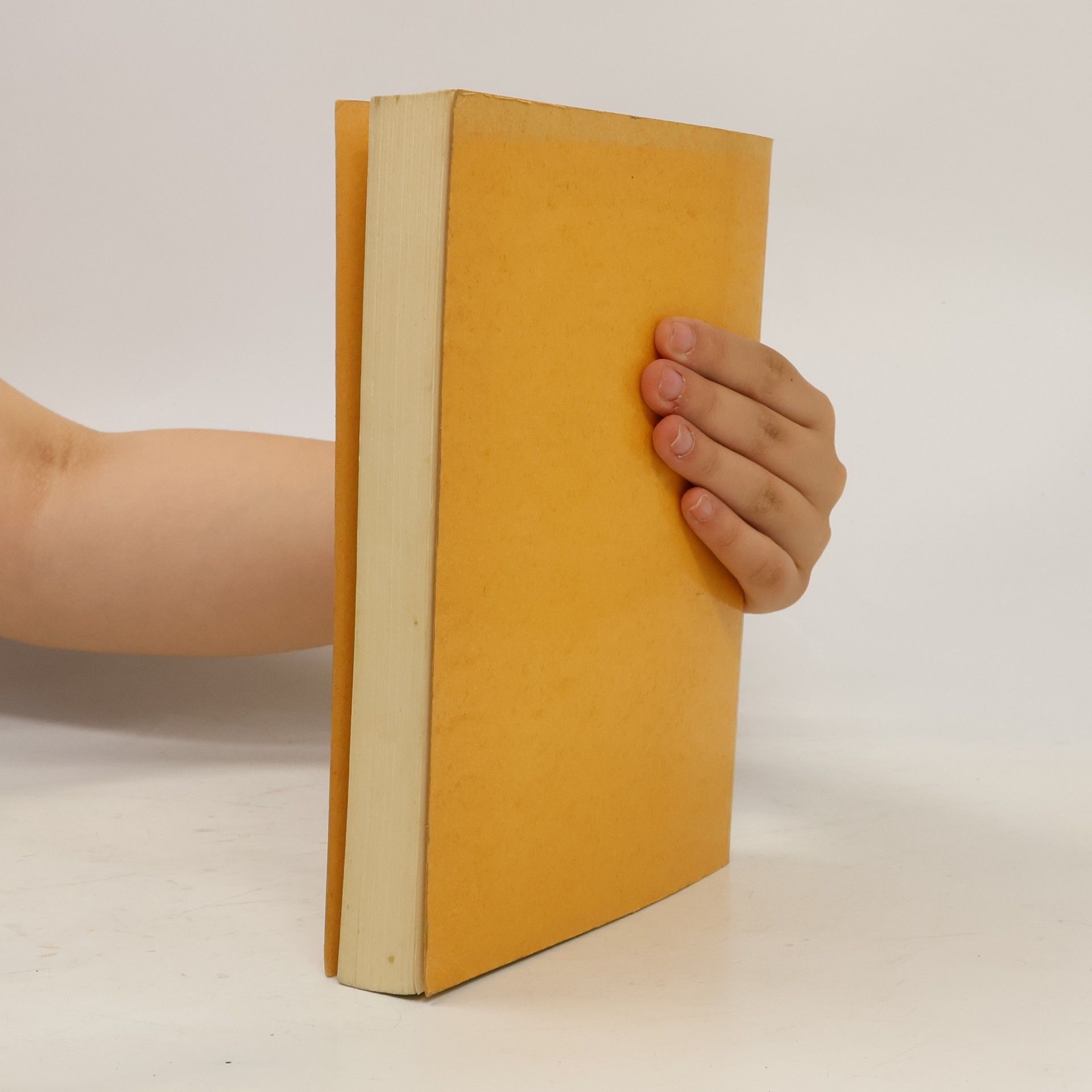 Ekkehart Stein Lehrbuch des Staatsrechts